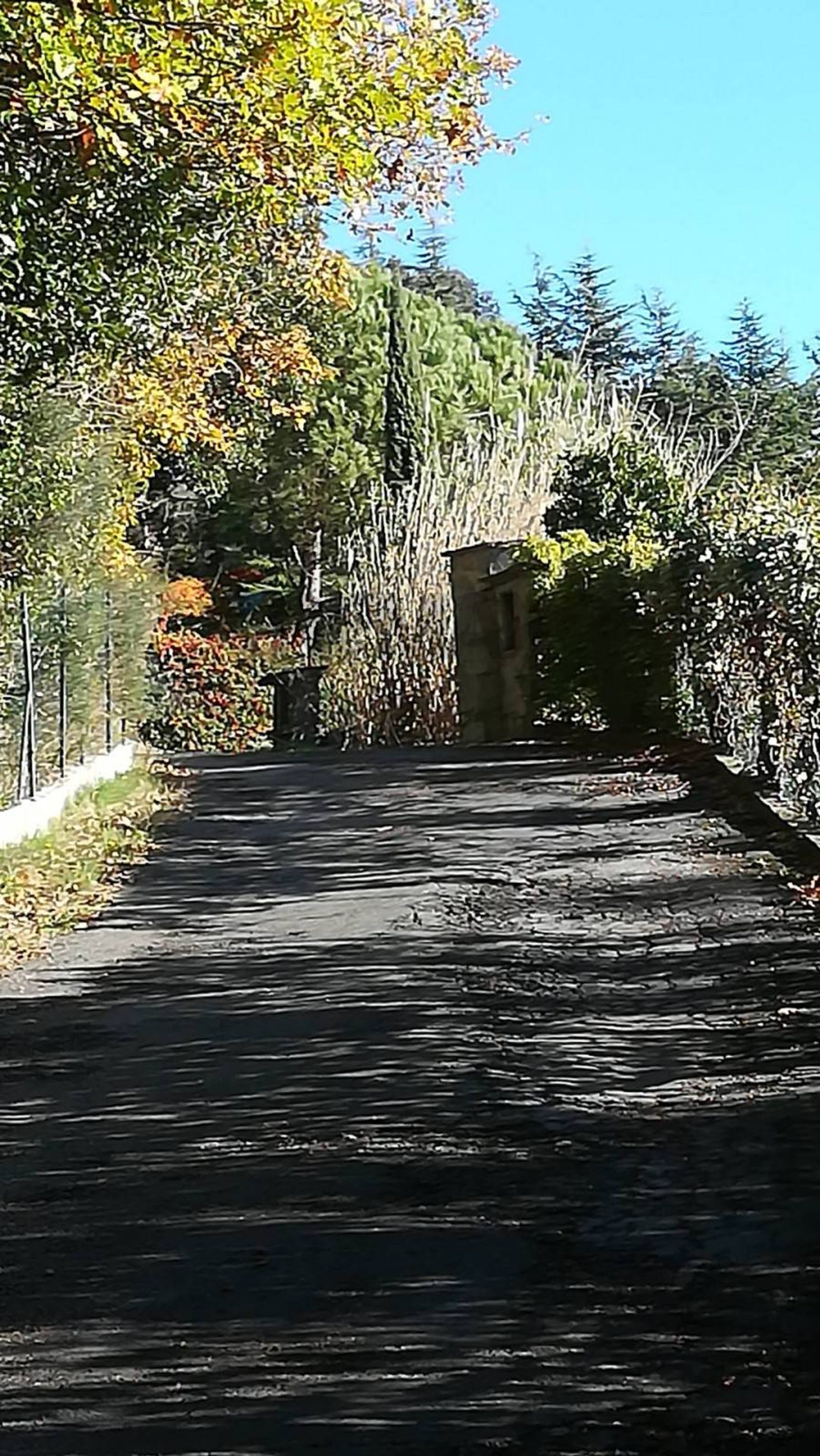 Immobile a Moneglia