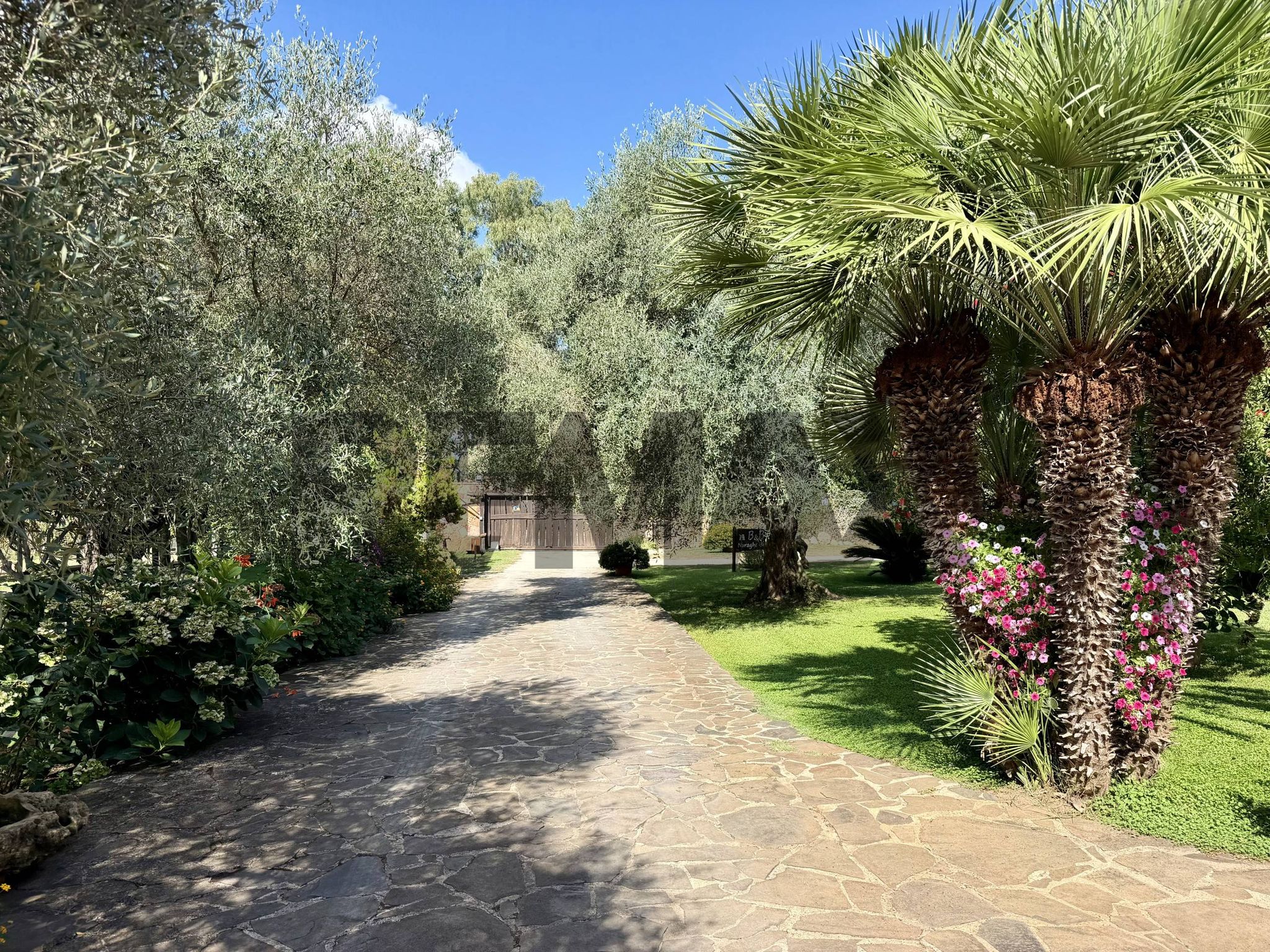 Giardino
