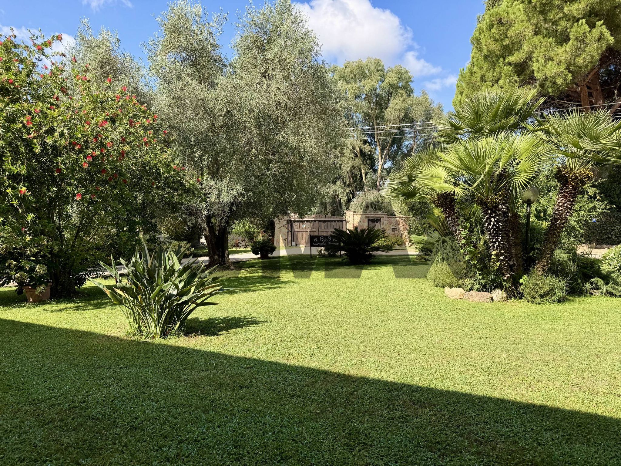 Giardino