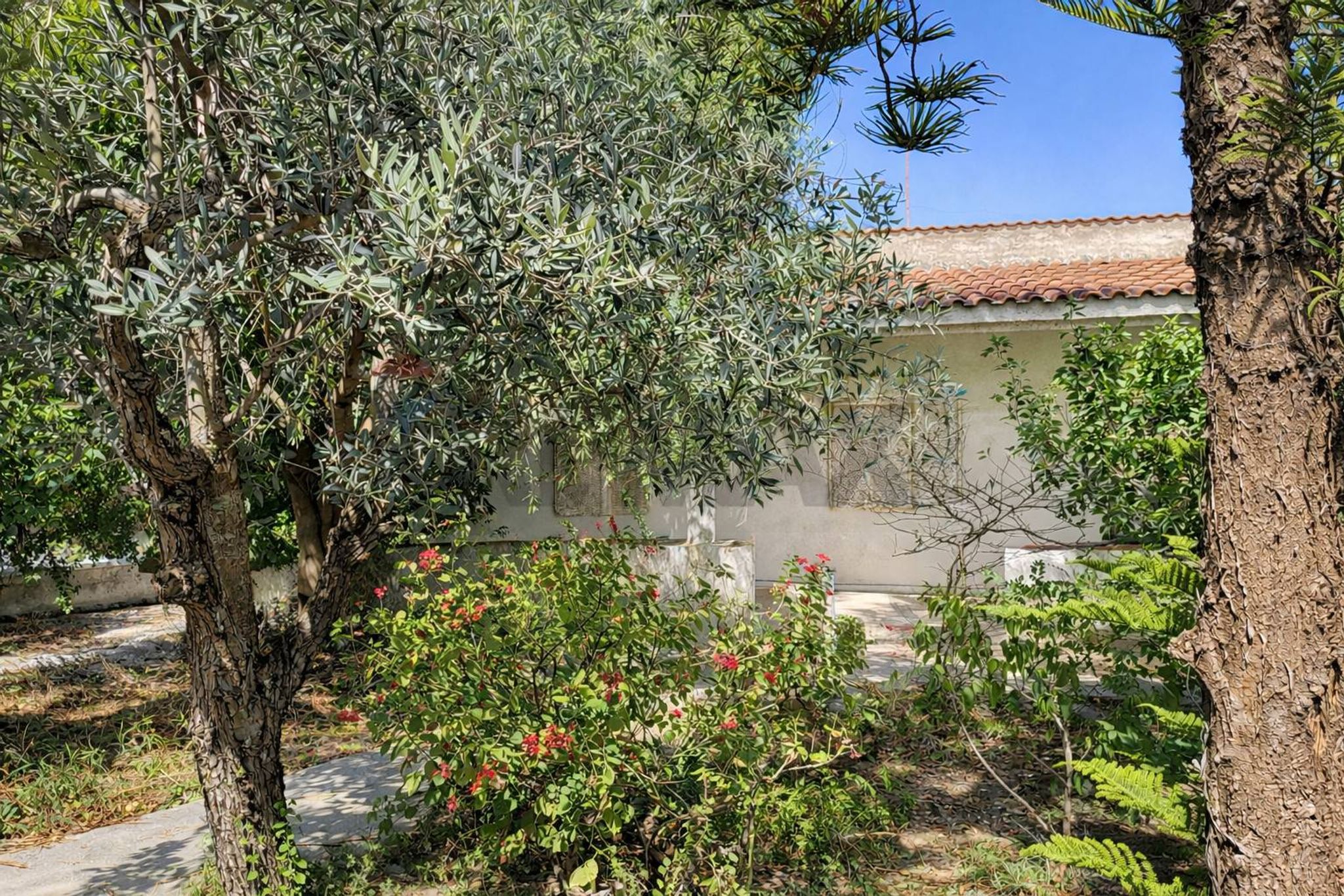 Giardino