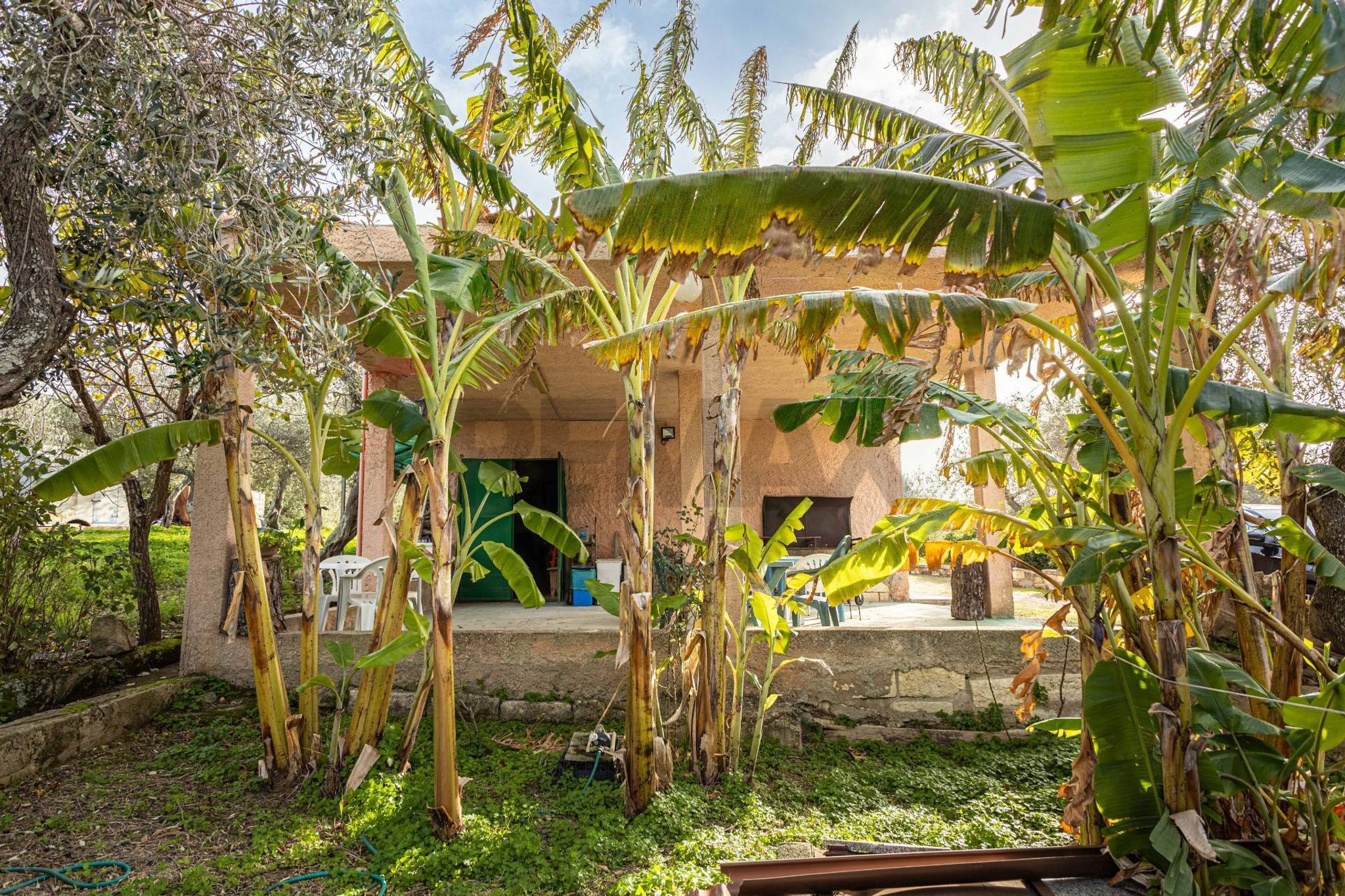 Giardino