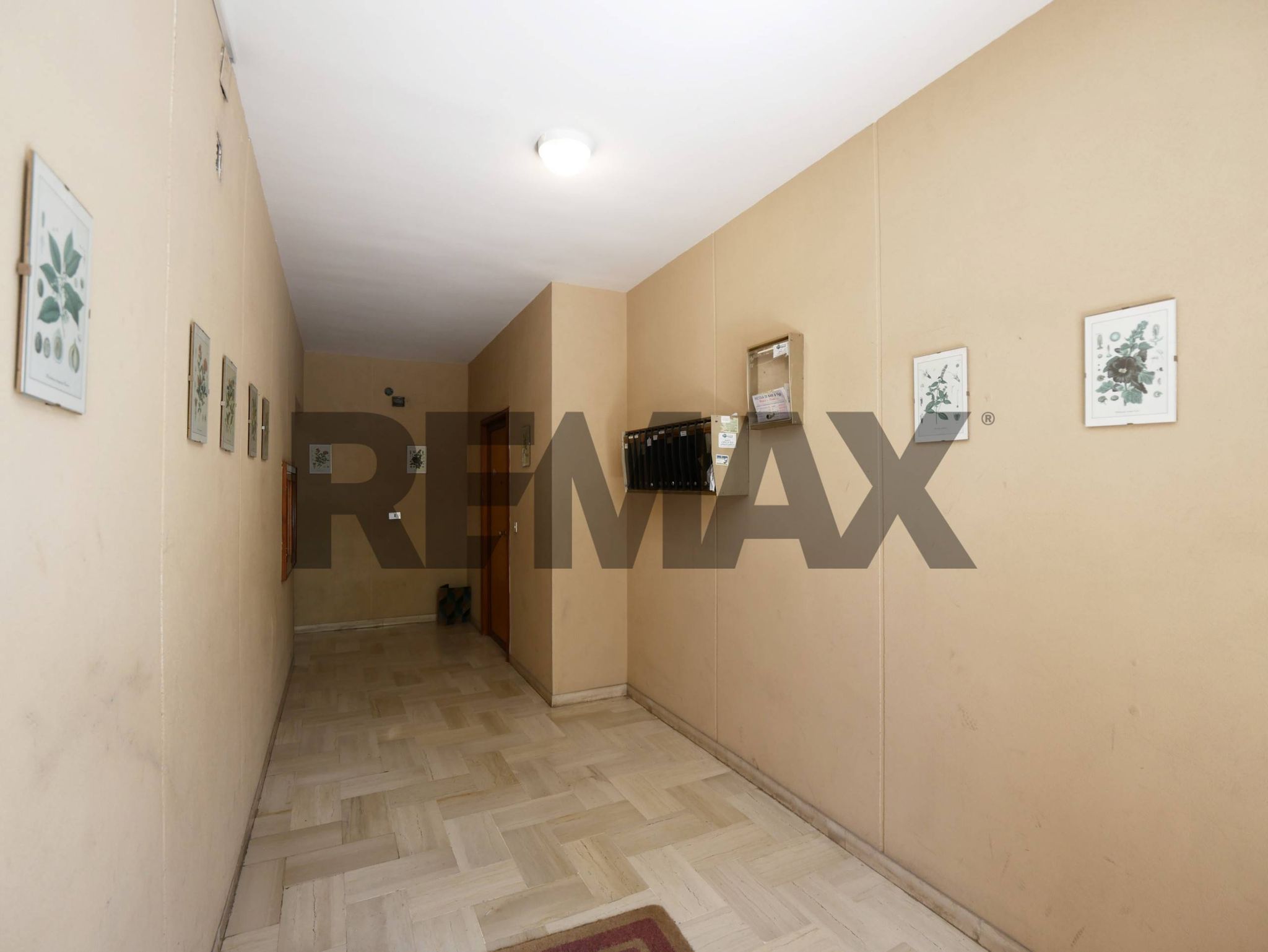 Hall / corridoio
