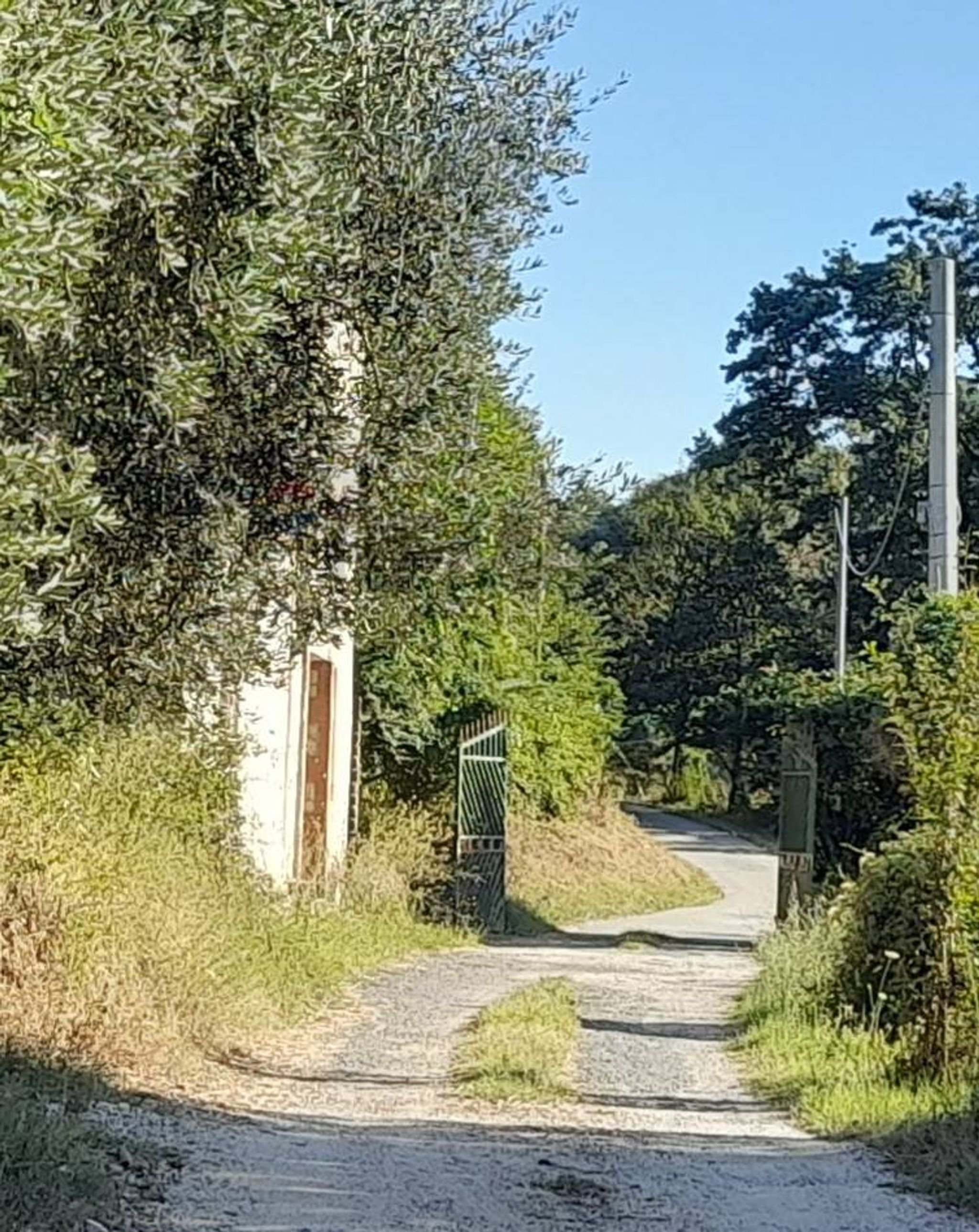 Giardino