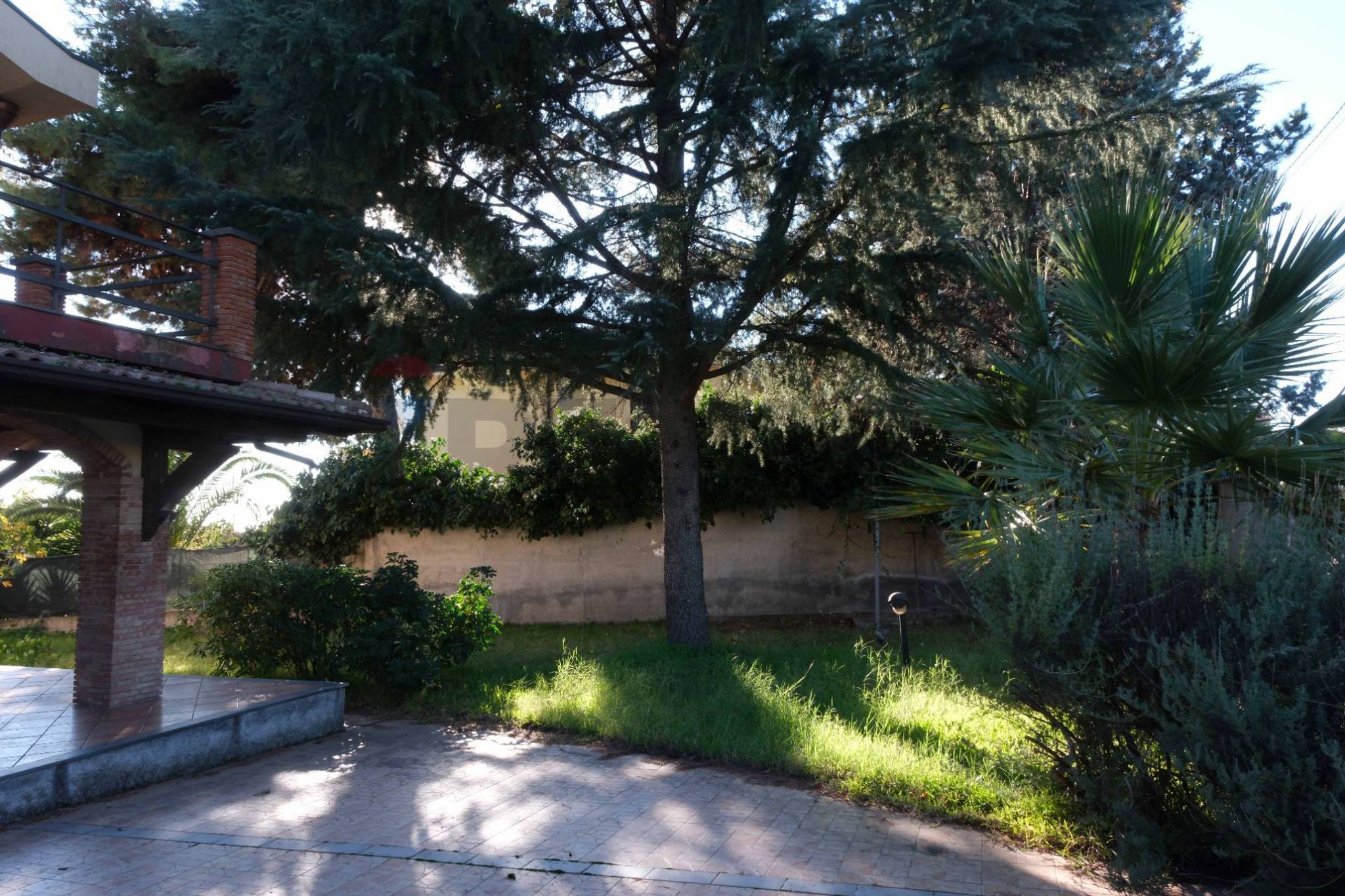 Giardino
