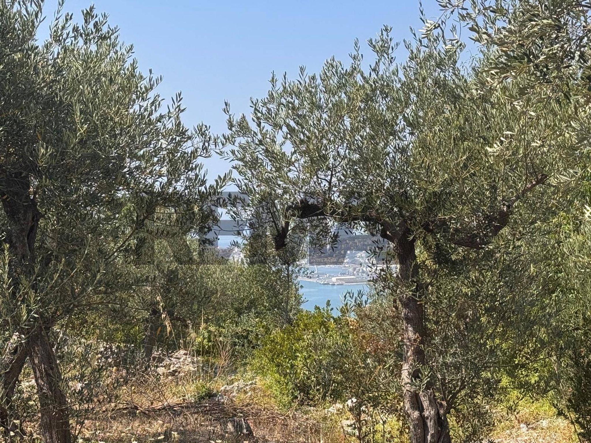 Vista dell'acqua