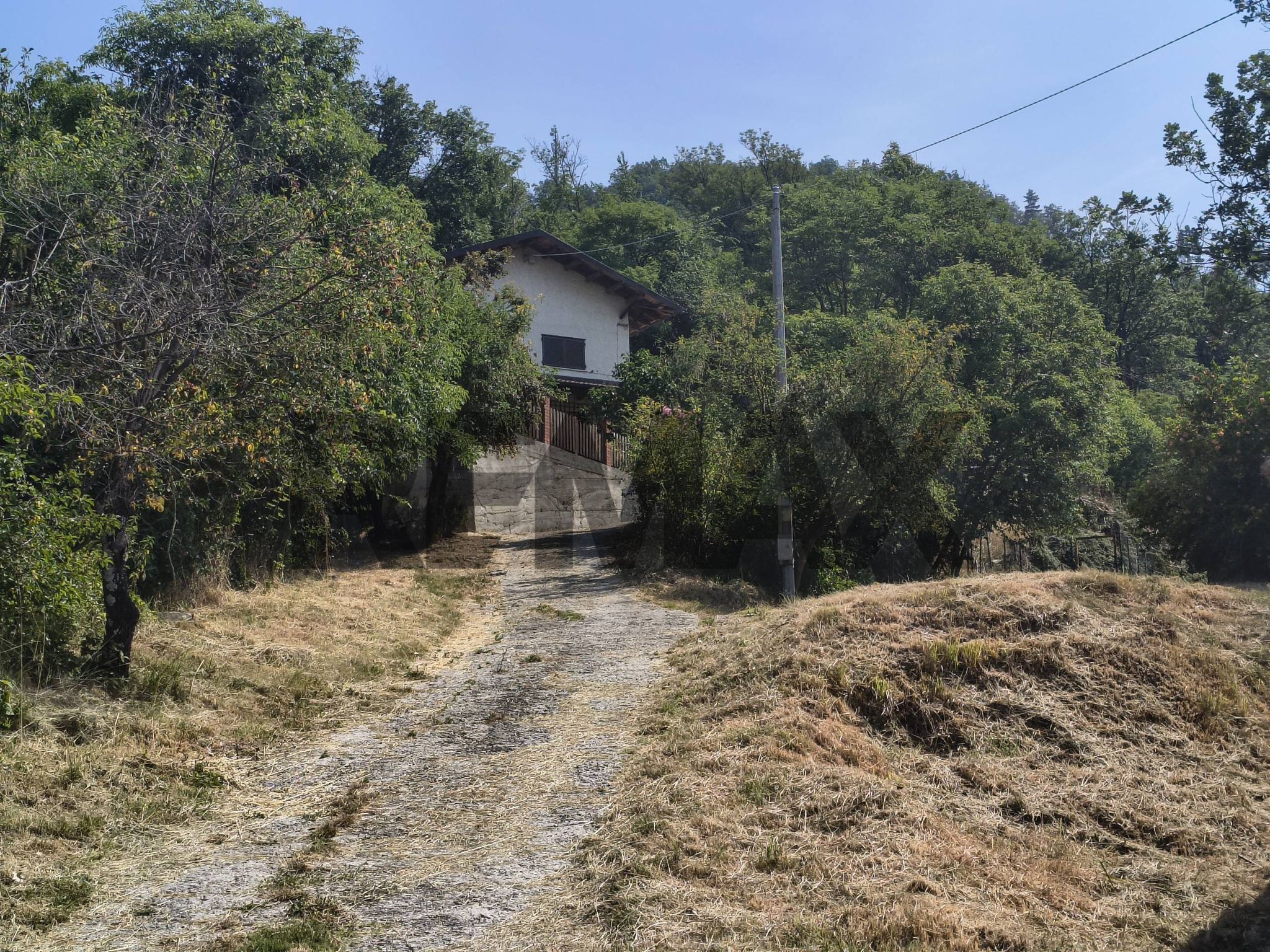 Giardino