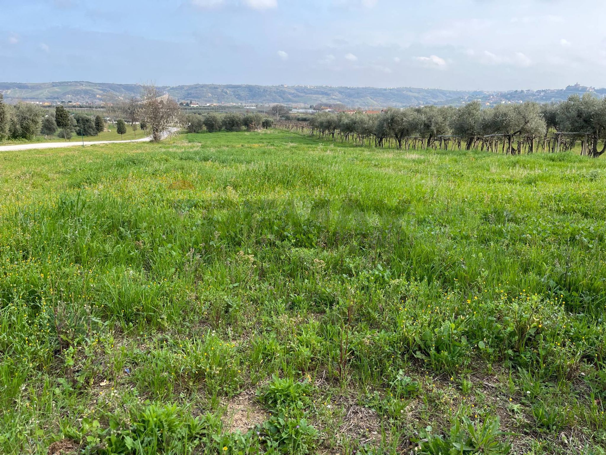 Vista delle montagne