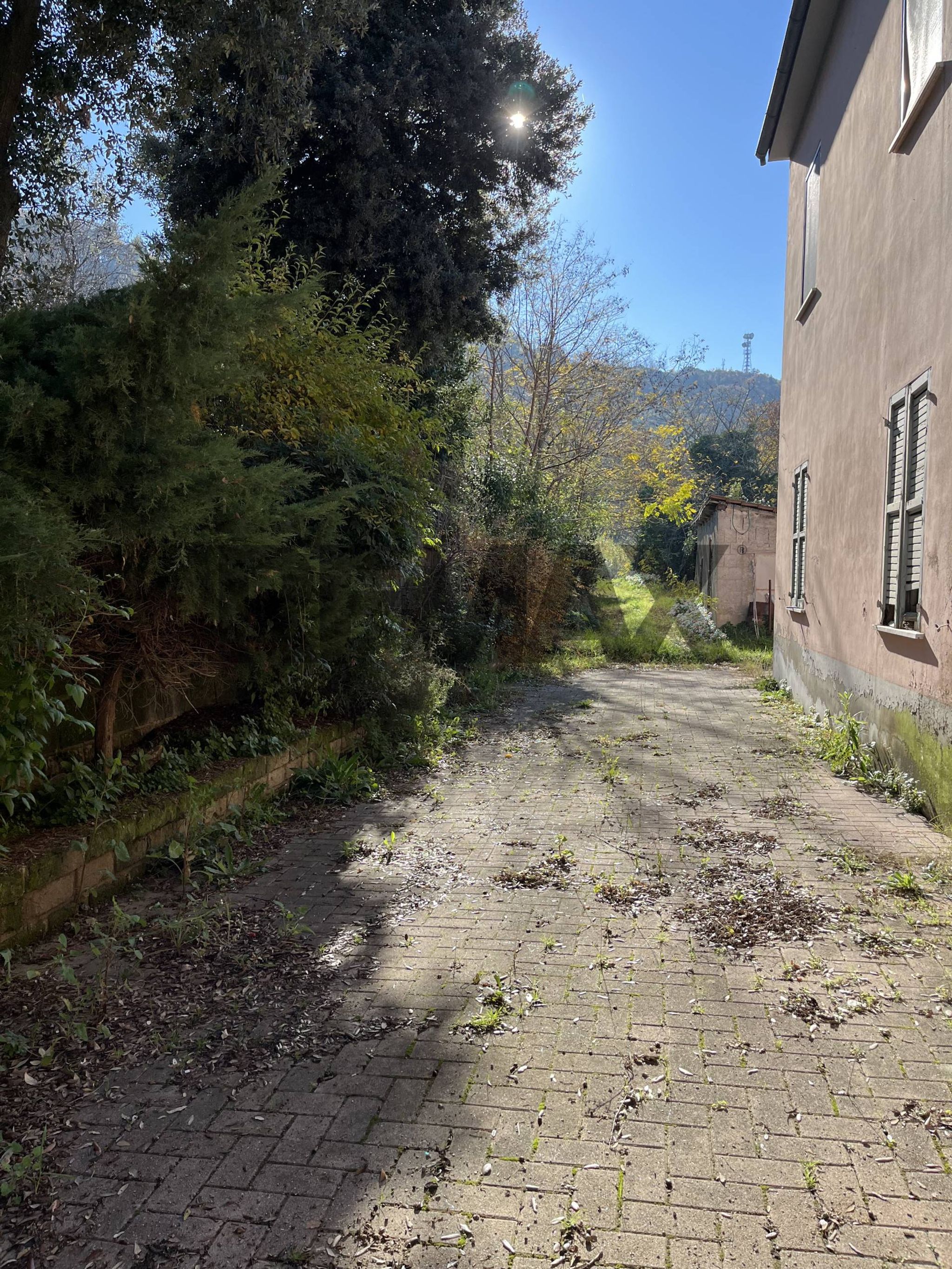 Giardino