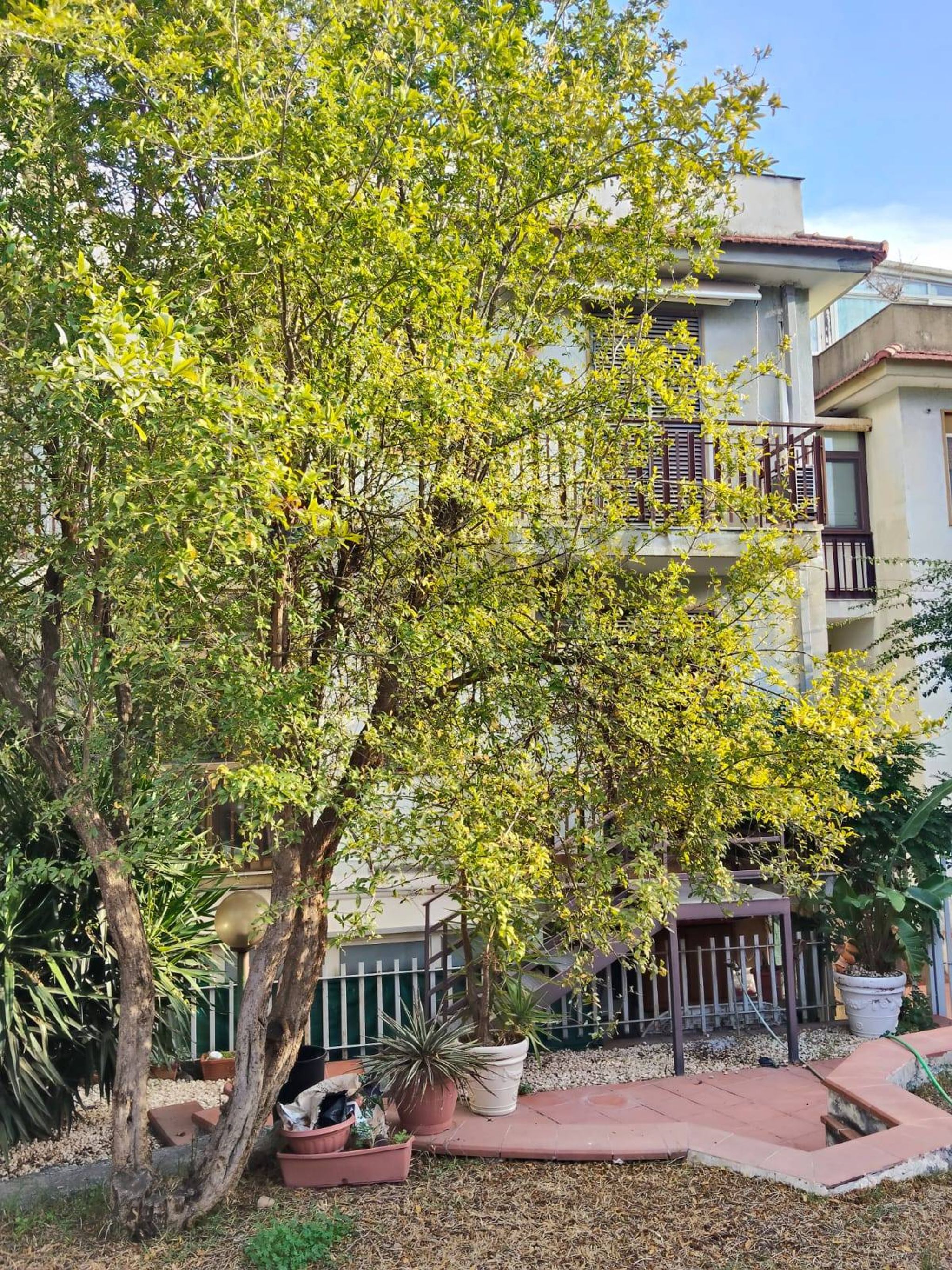 Giardino