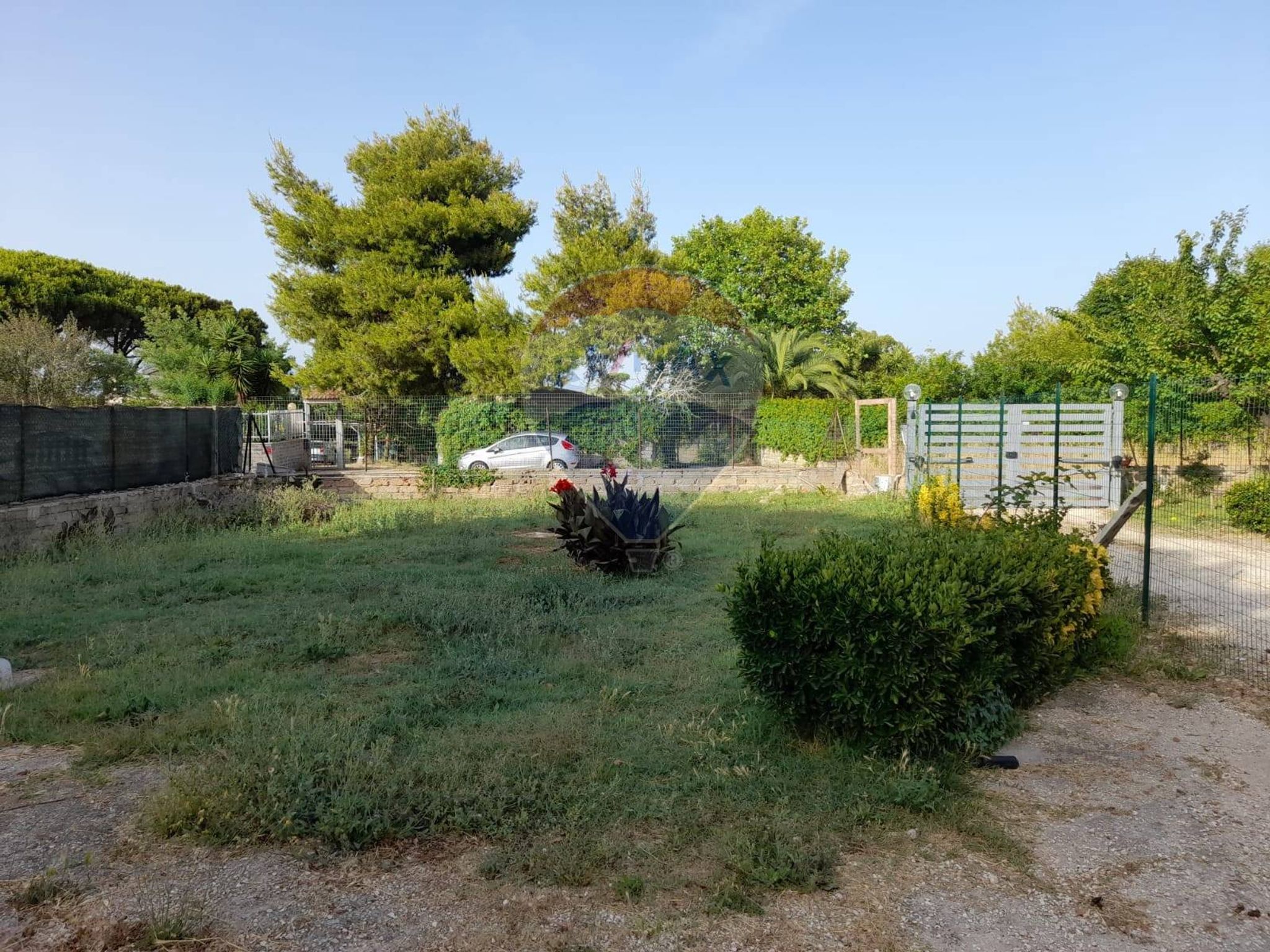 Giardino