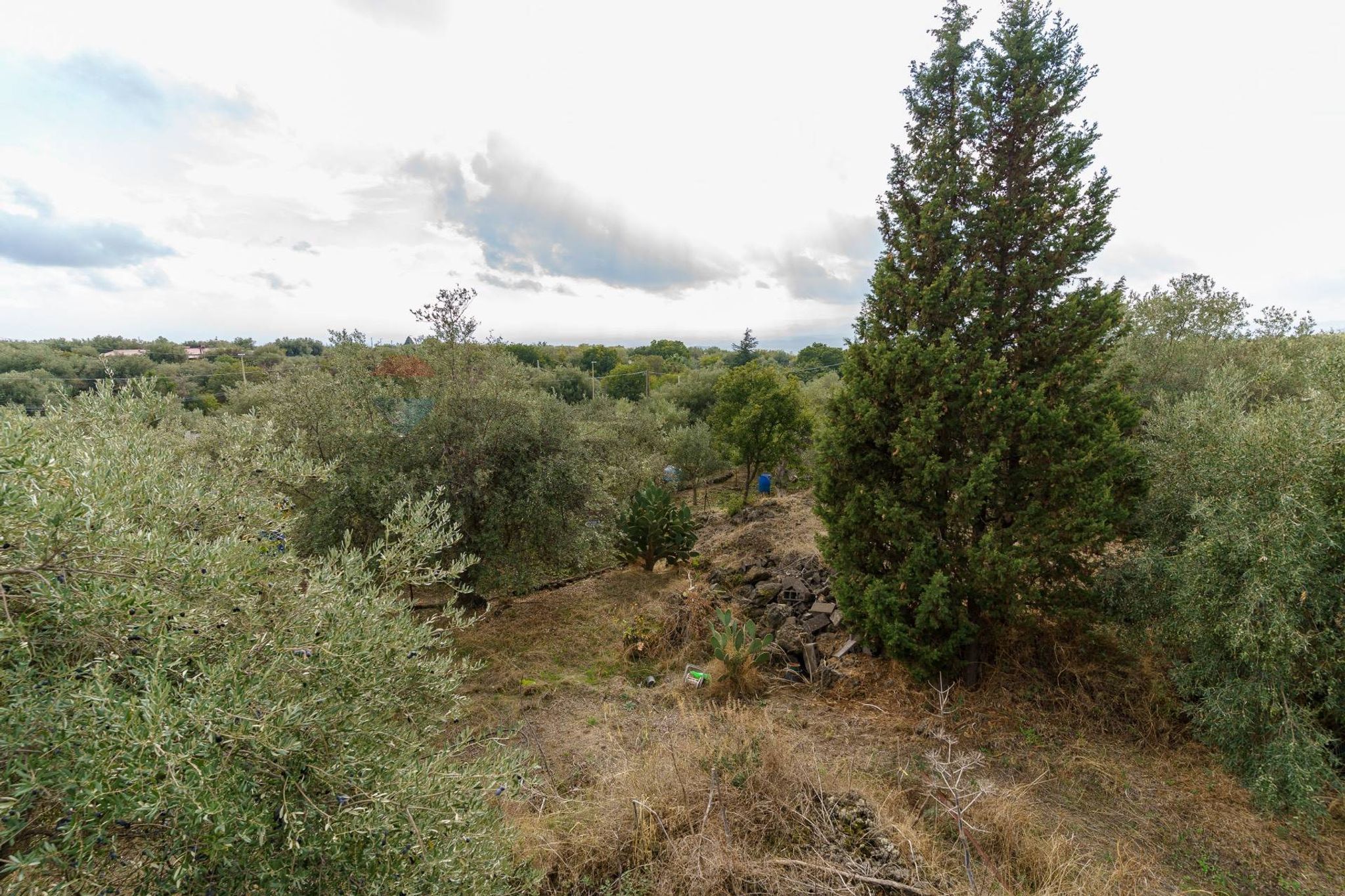 Vista delle montagne