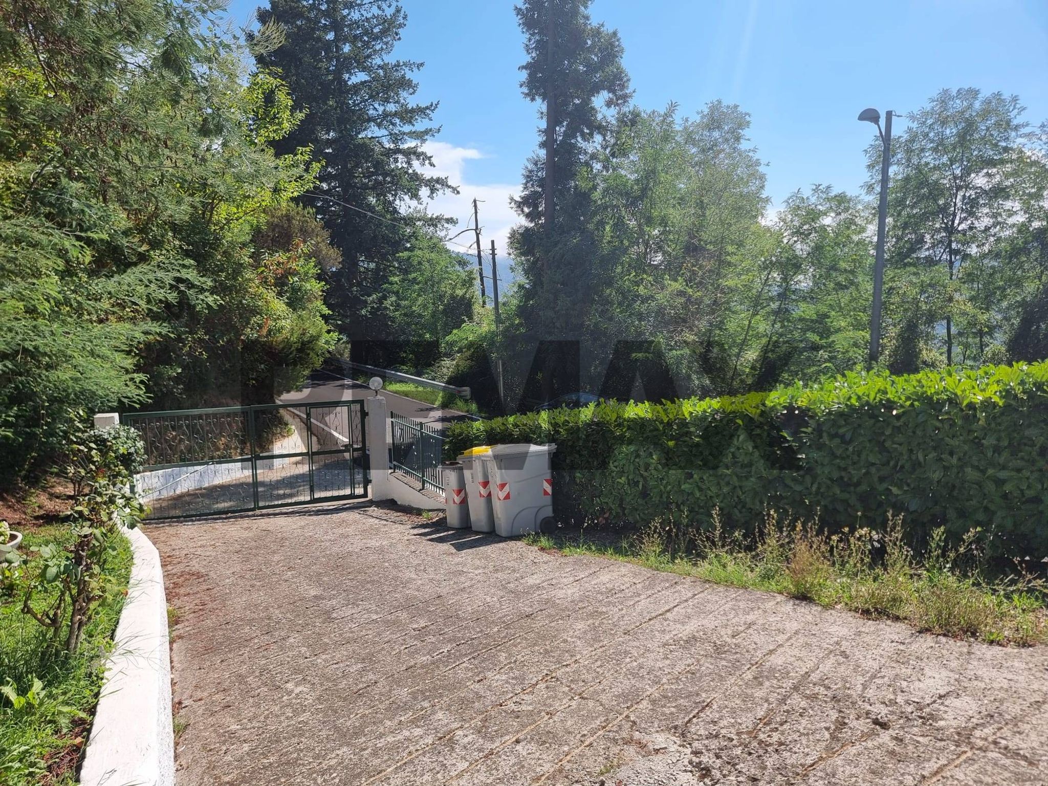 Giardino