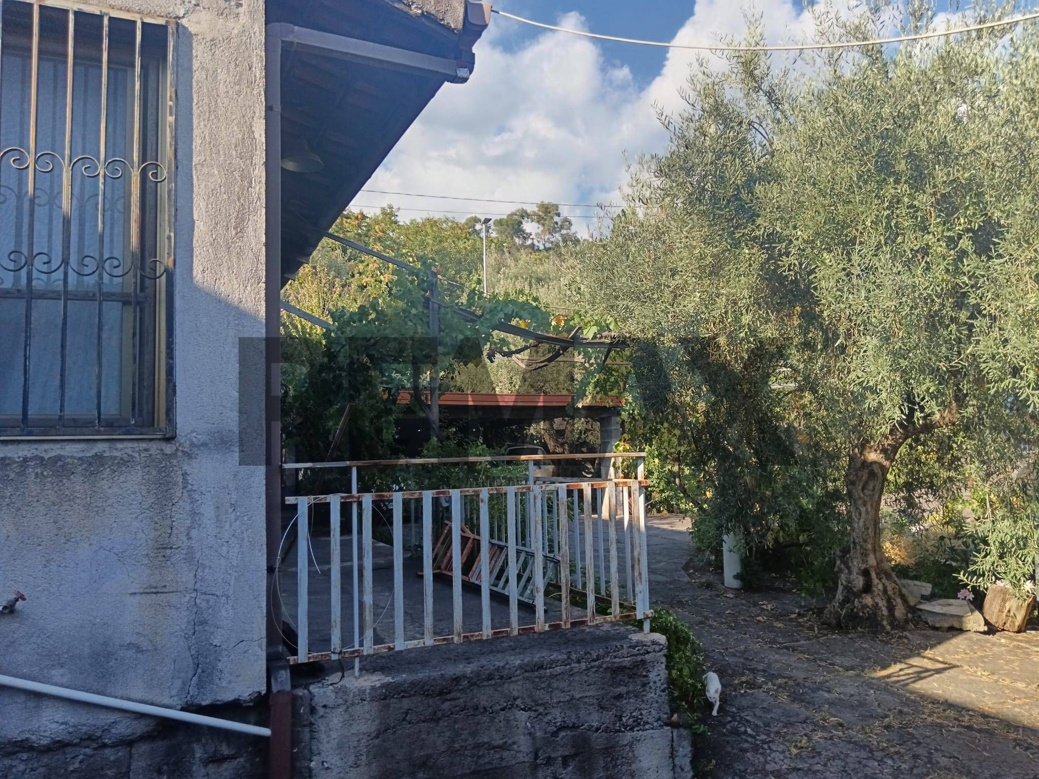 Terrazza