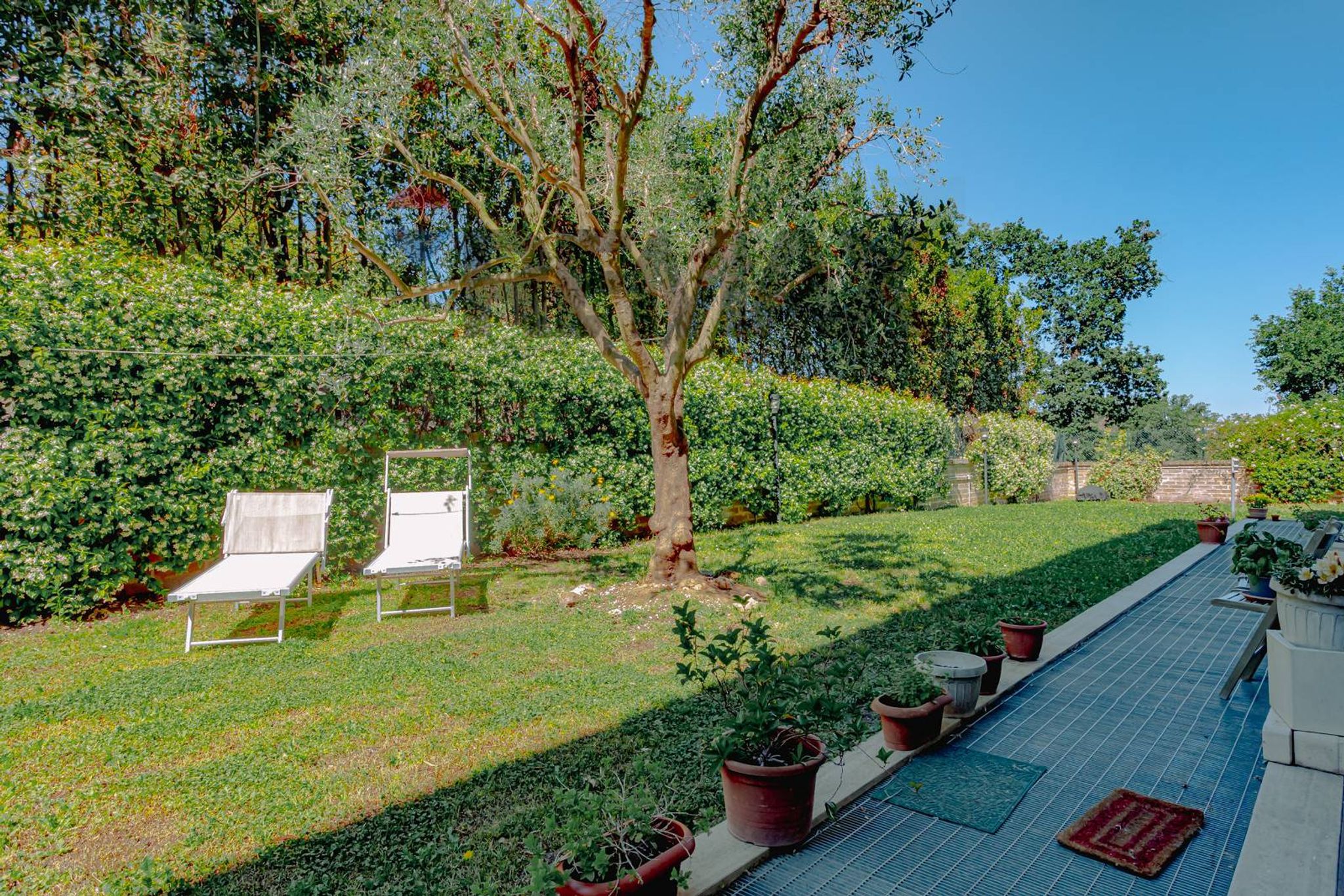 Giardino
