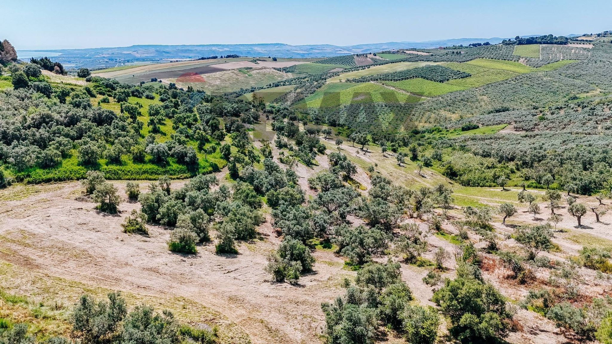 Vista delle montagne