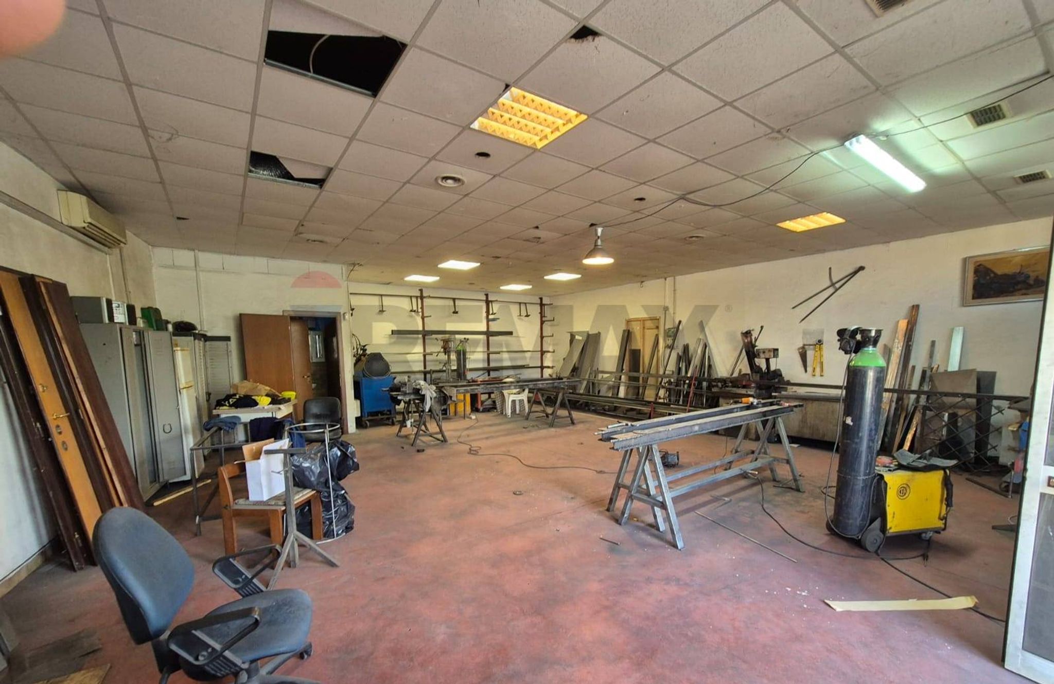 Palestra