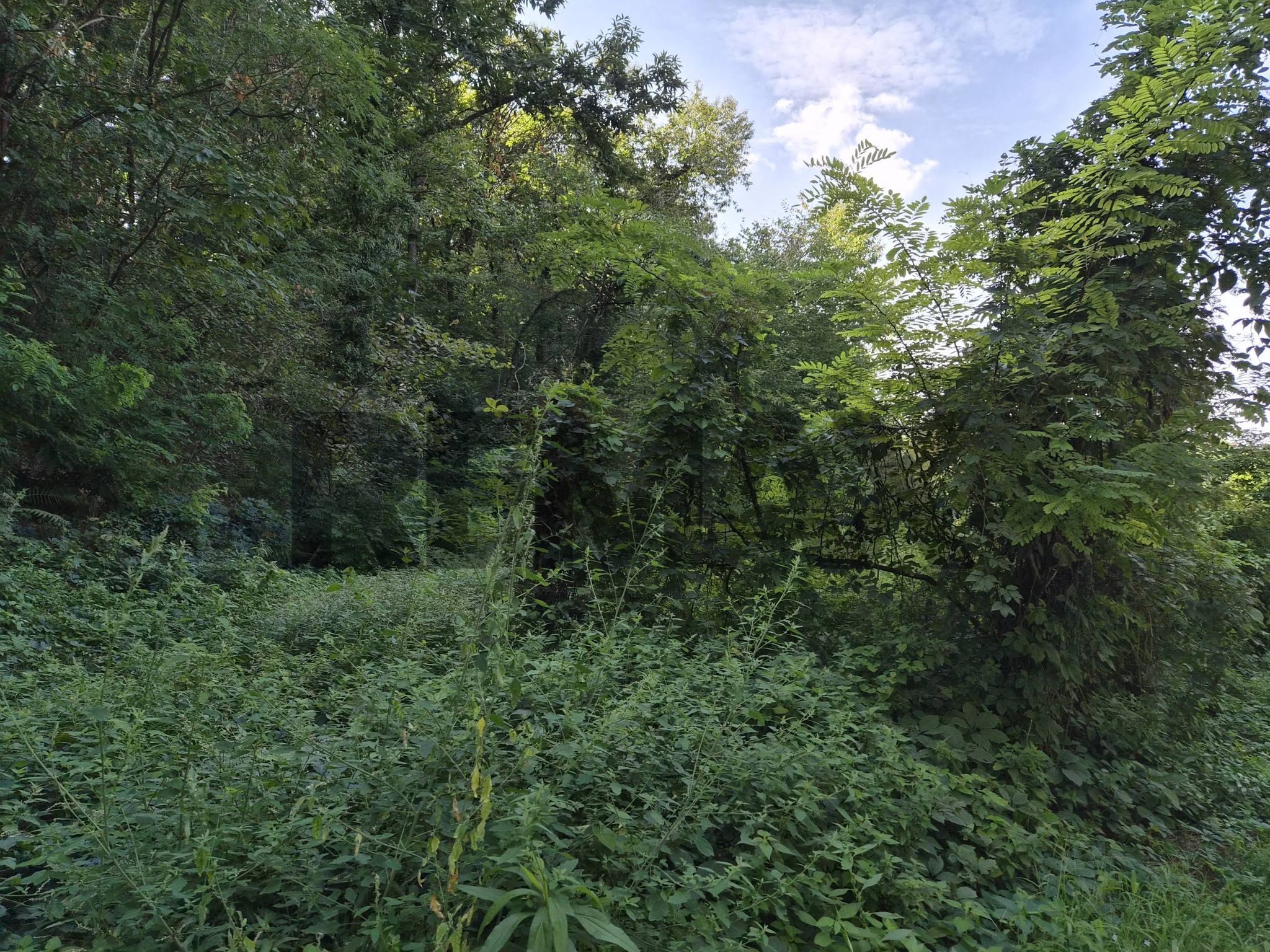 Property in Casnate con Bernate