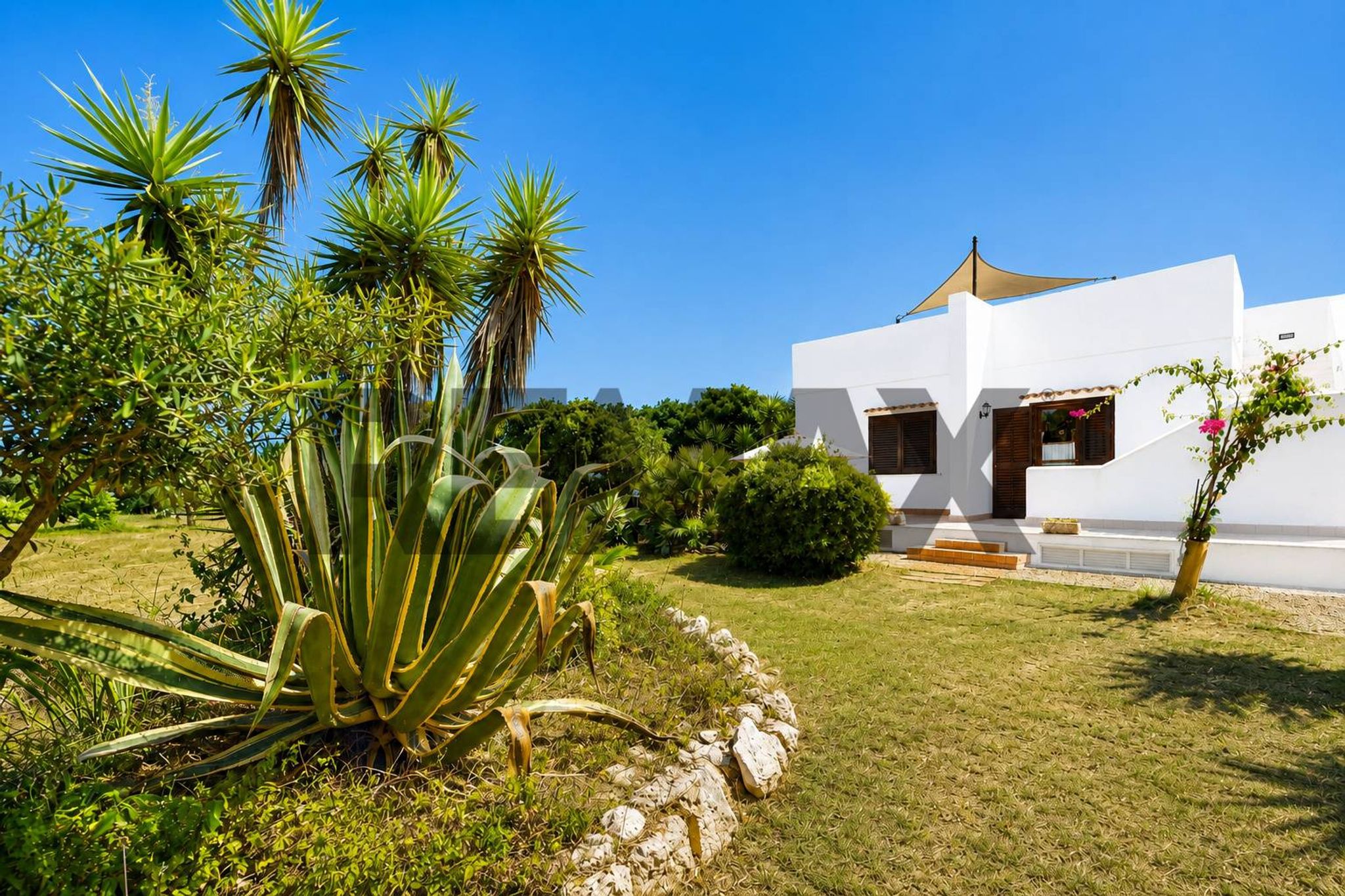 Property in Favignana
