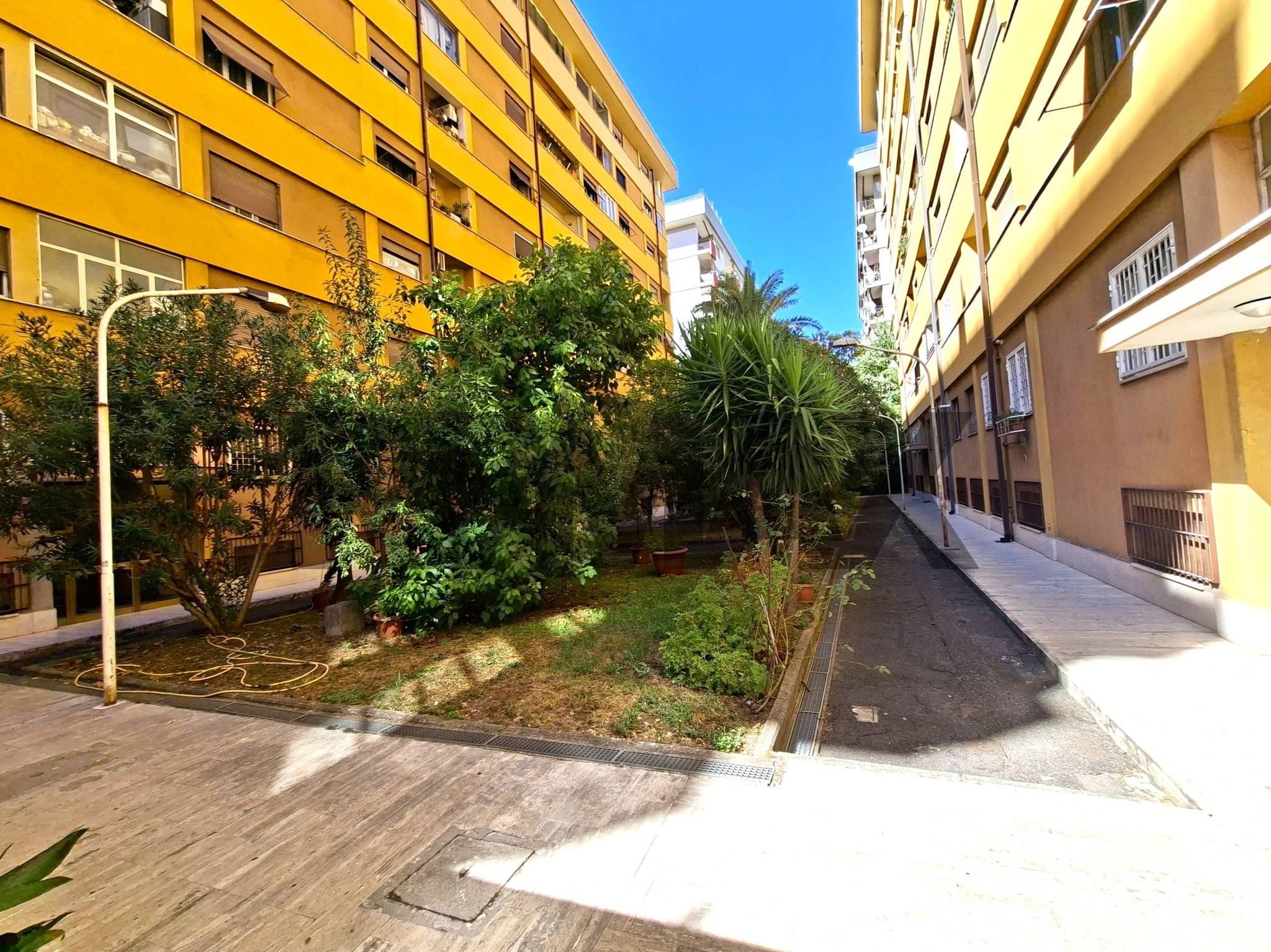 Property in Roma