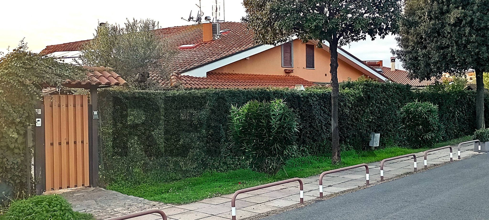 Foto 2