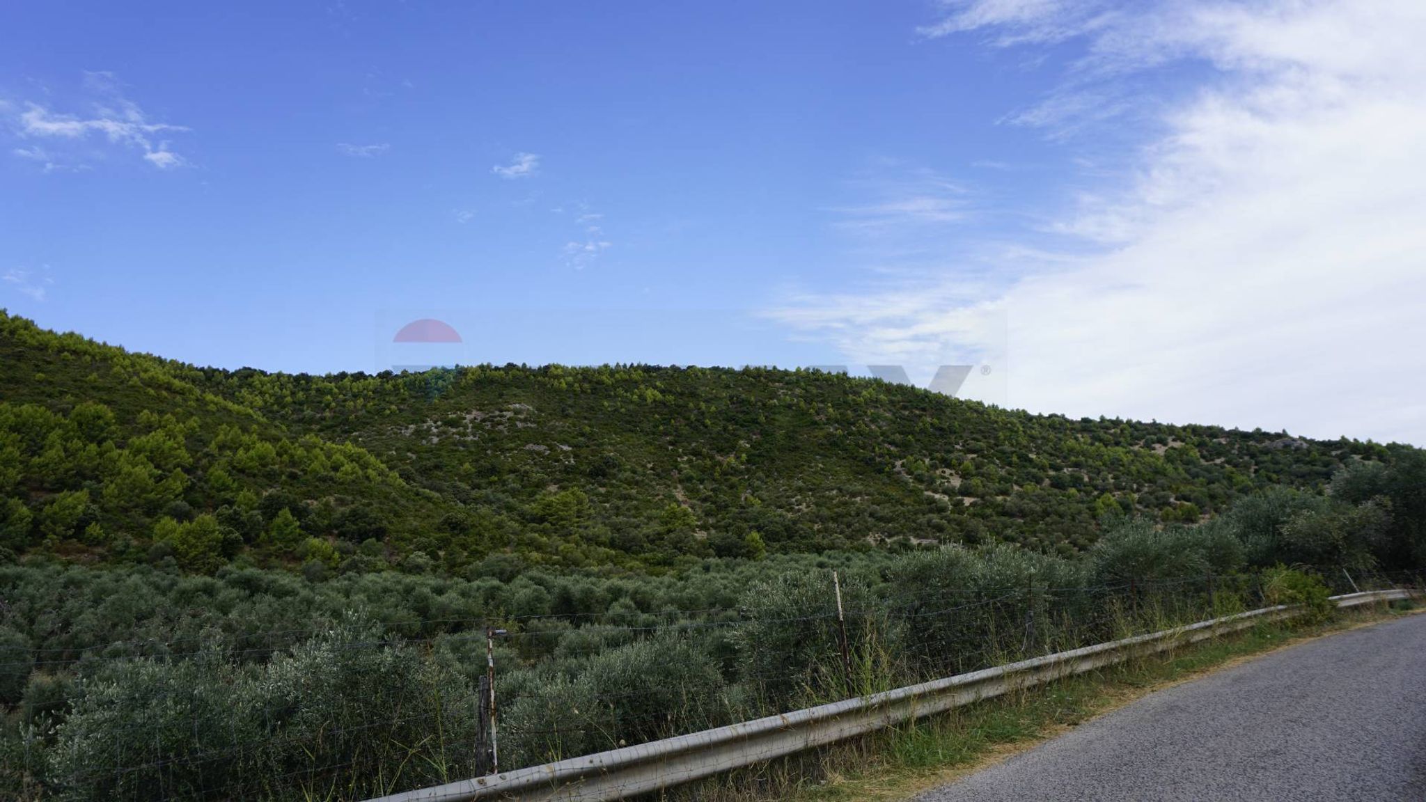 terreno