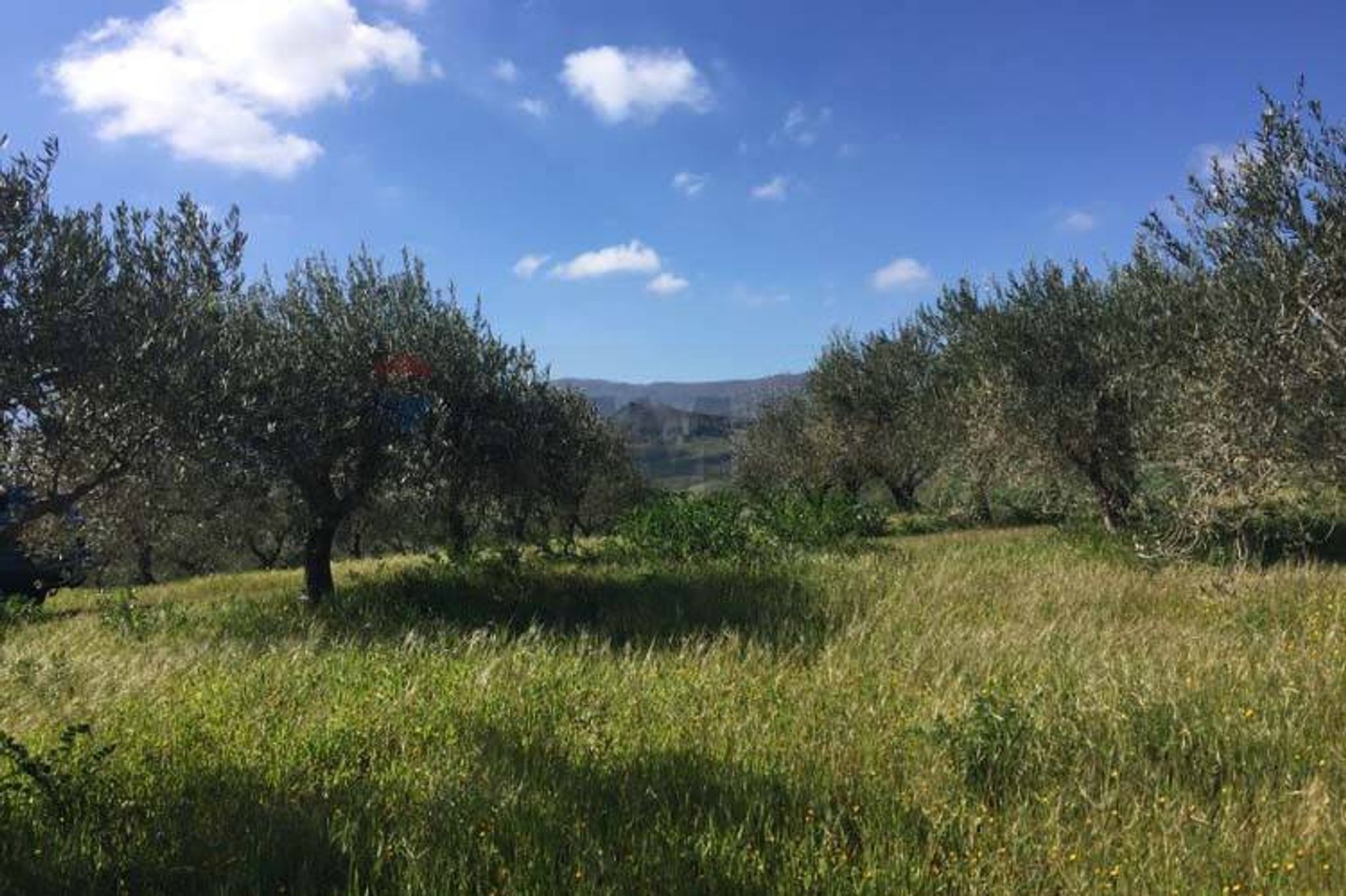 Vista delle montagne