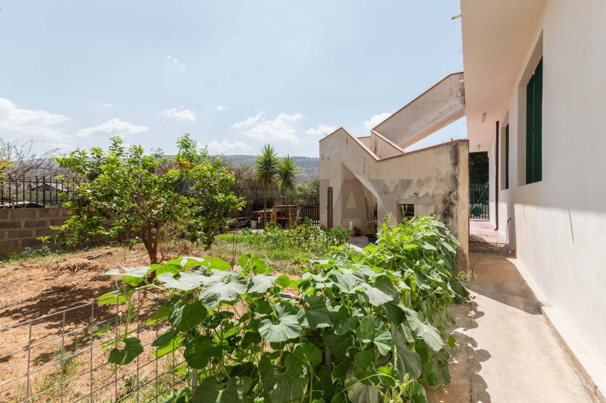Giardino
