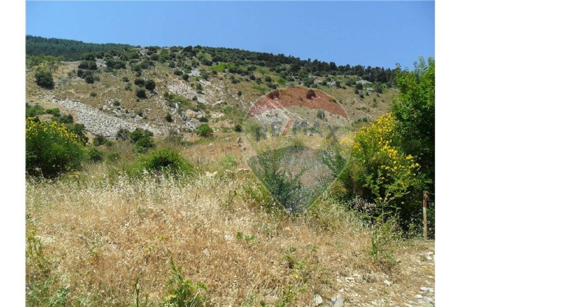 Vista delle montagne