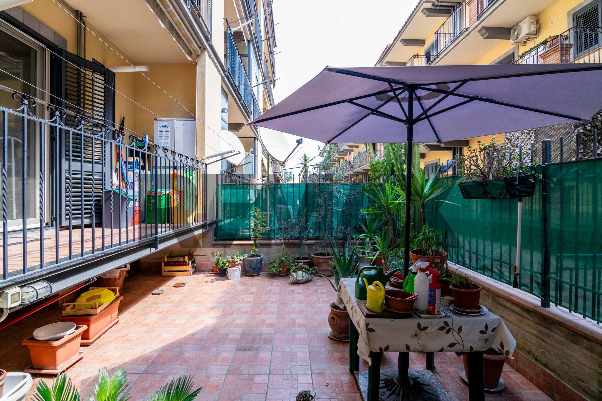 Terrazza