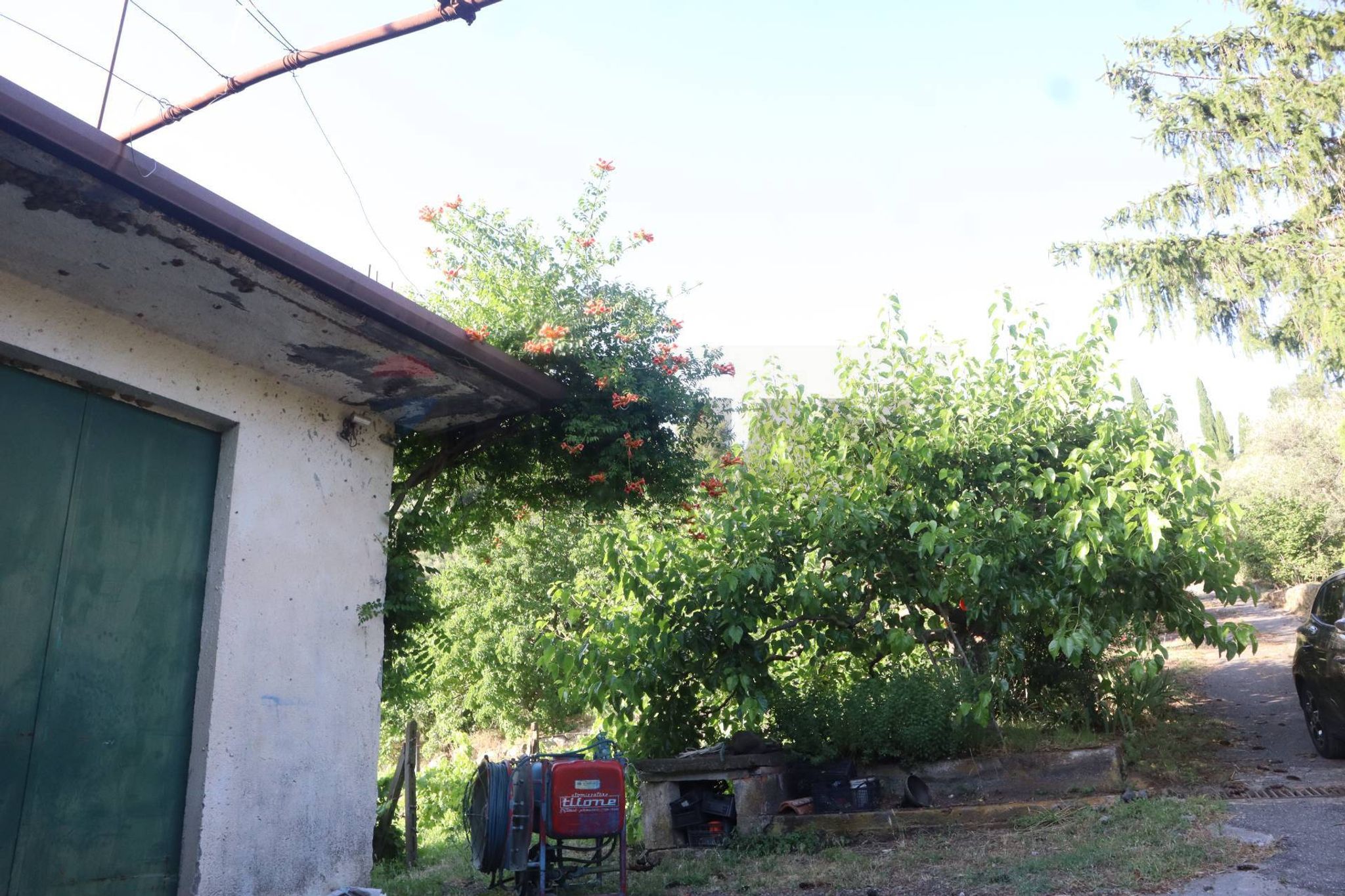 Giardino