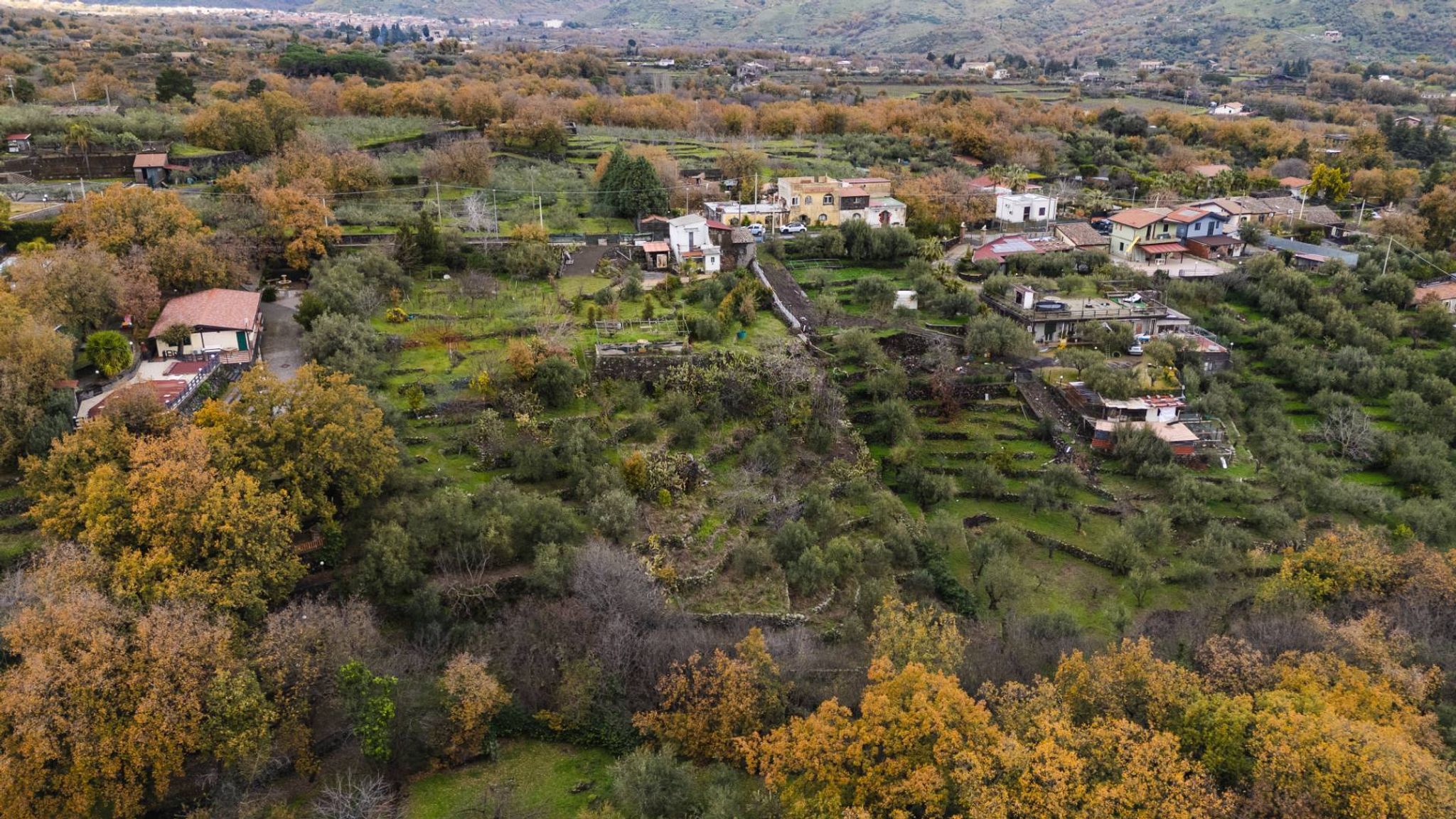 Vista delle montagne