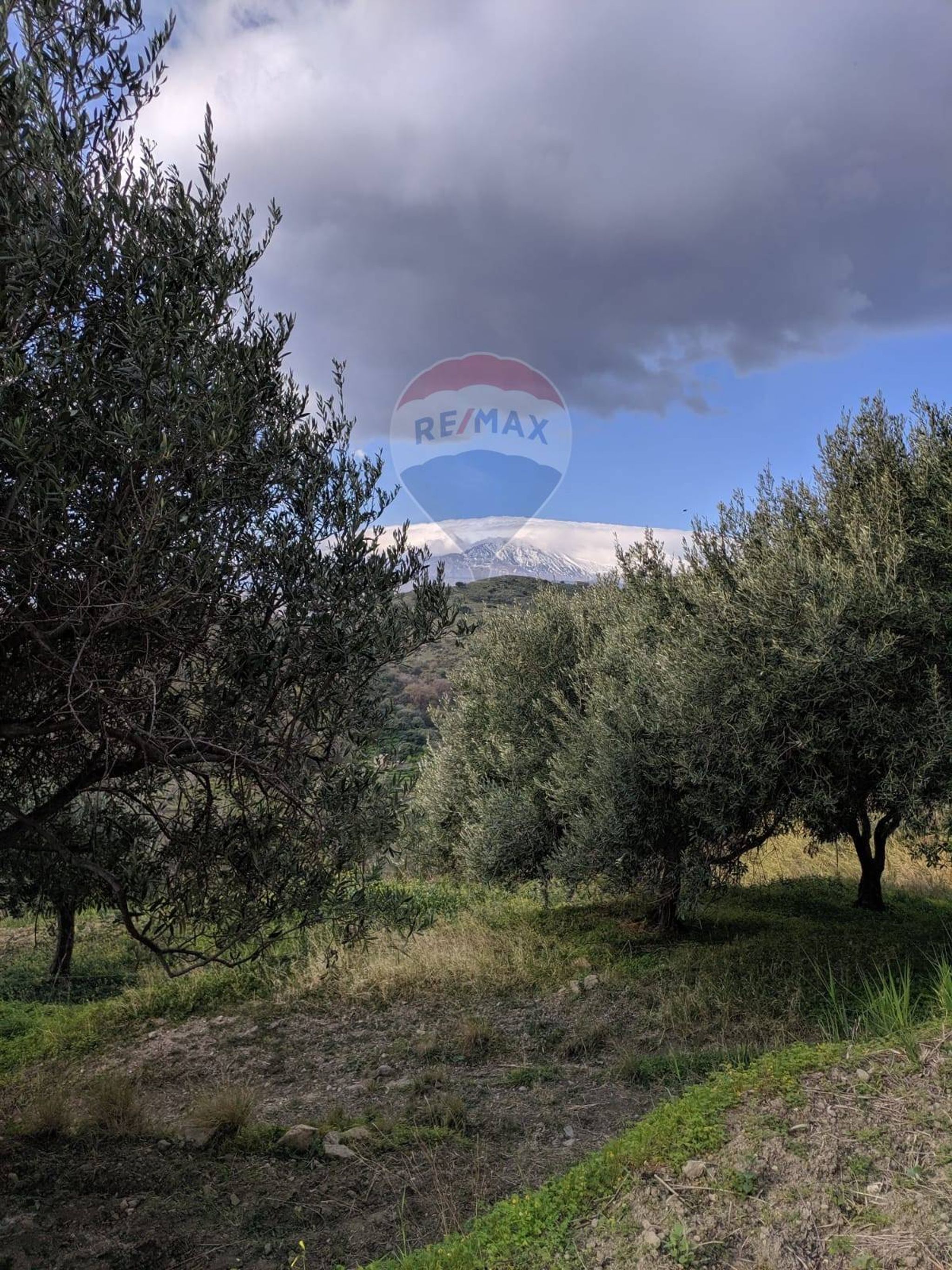 Vista delle montagne