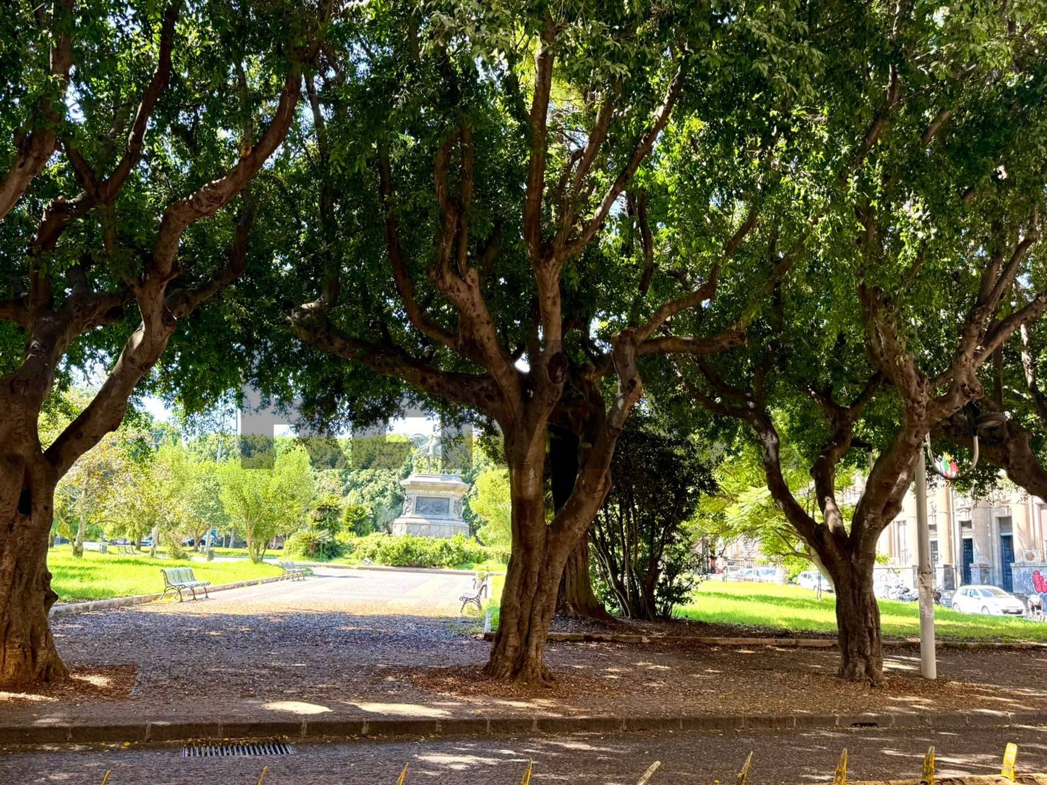 Giardino