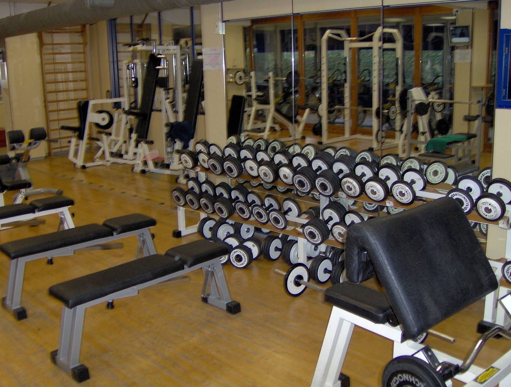 Palestra