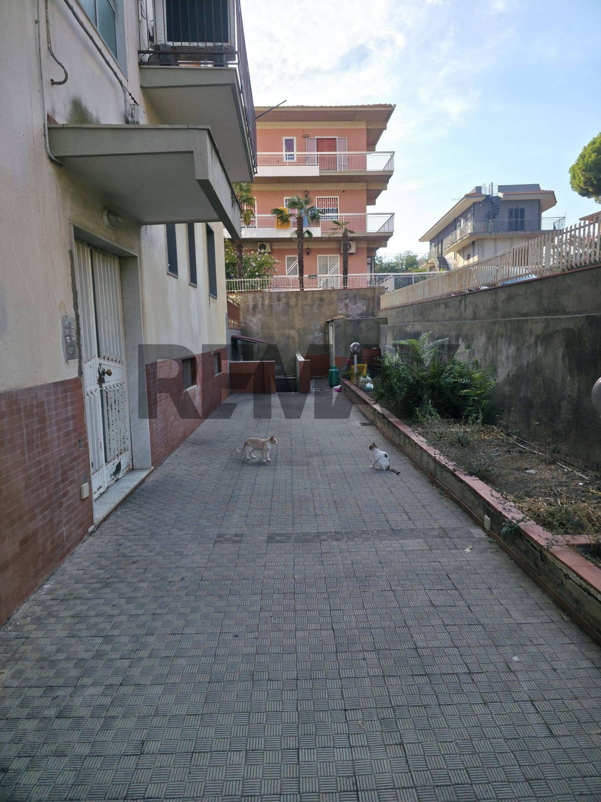 Terrazza