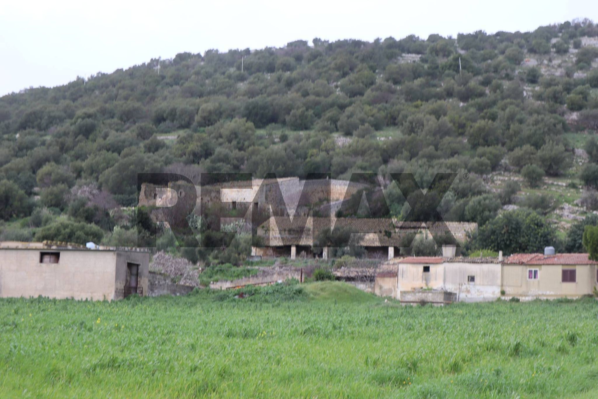 Vista delle montagne