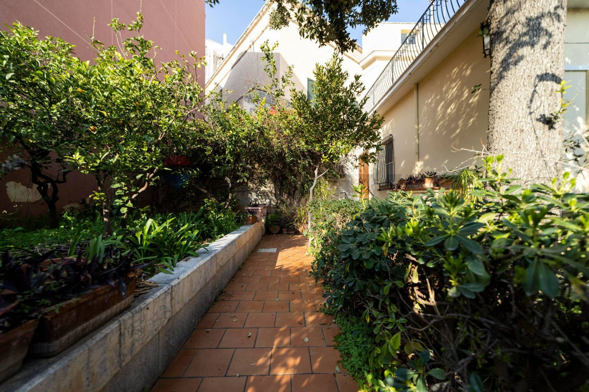 Giardino