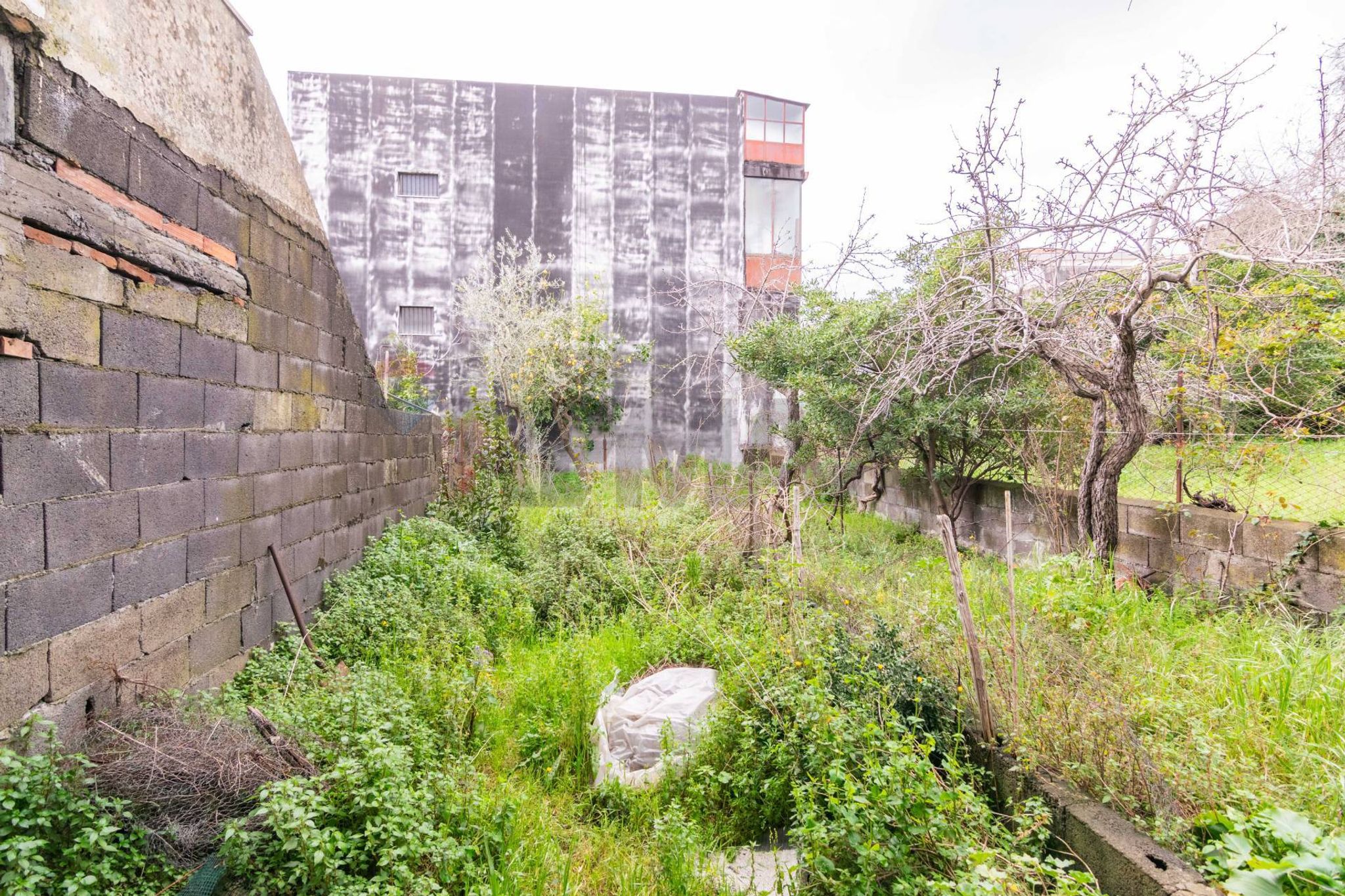 Giardino