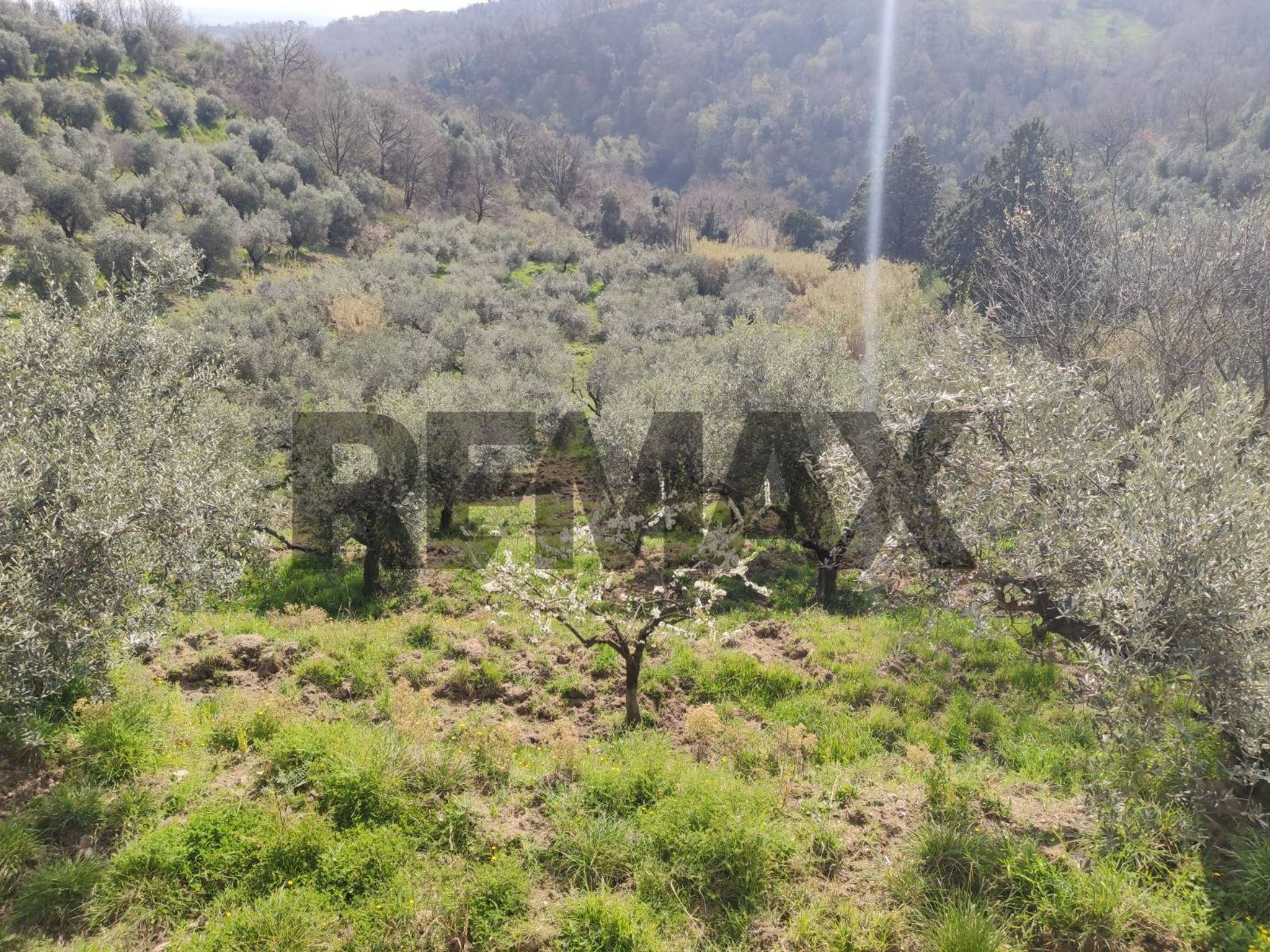 Property in Castelnuovo di Porto