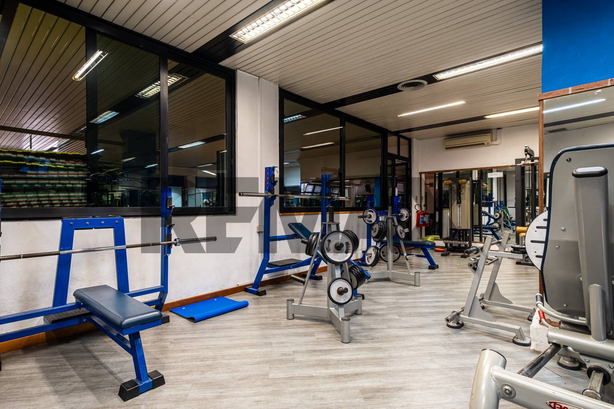 Palestra
