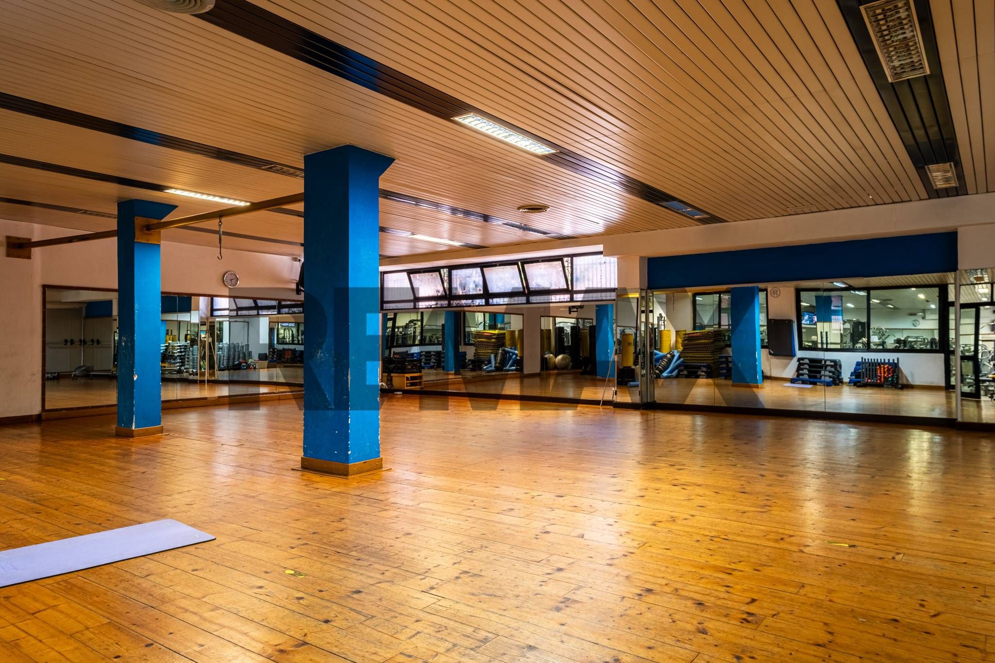 Palestra