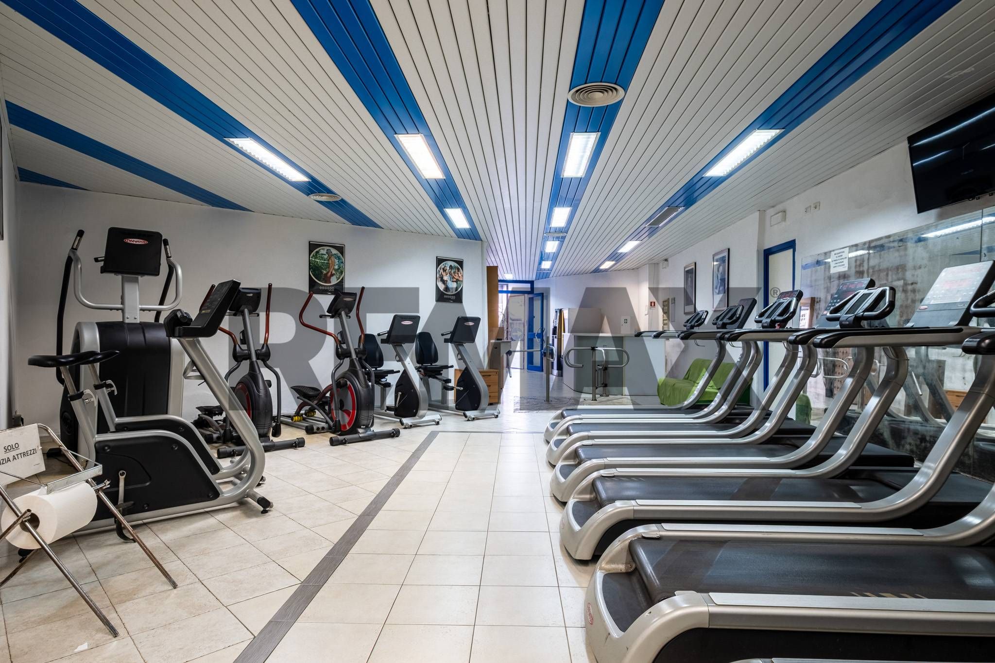 Palestra