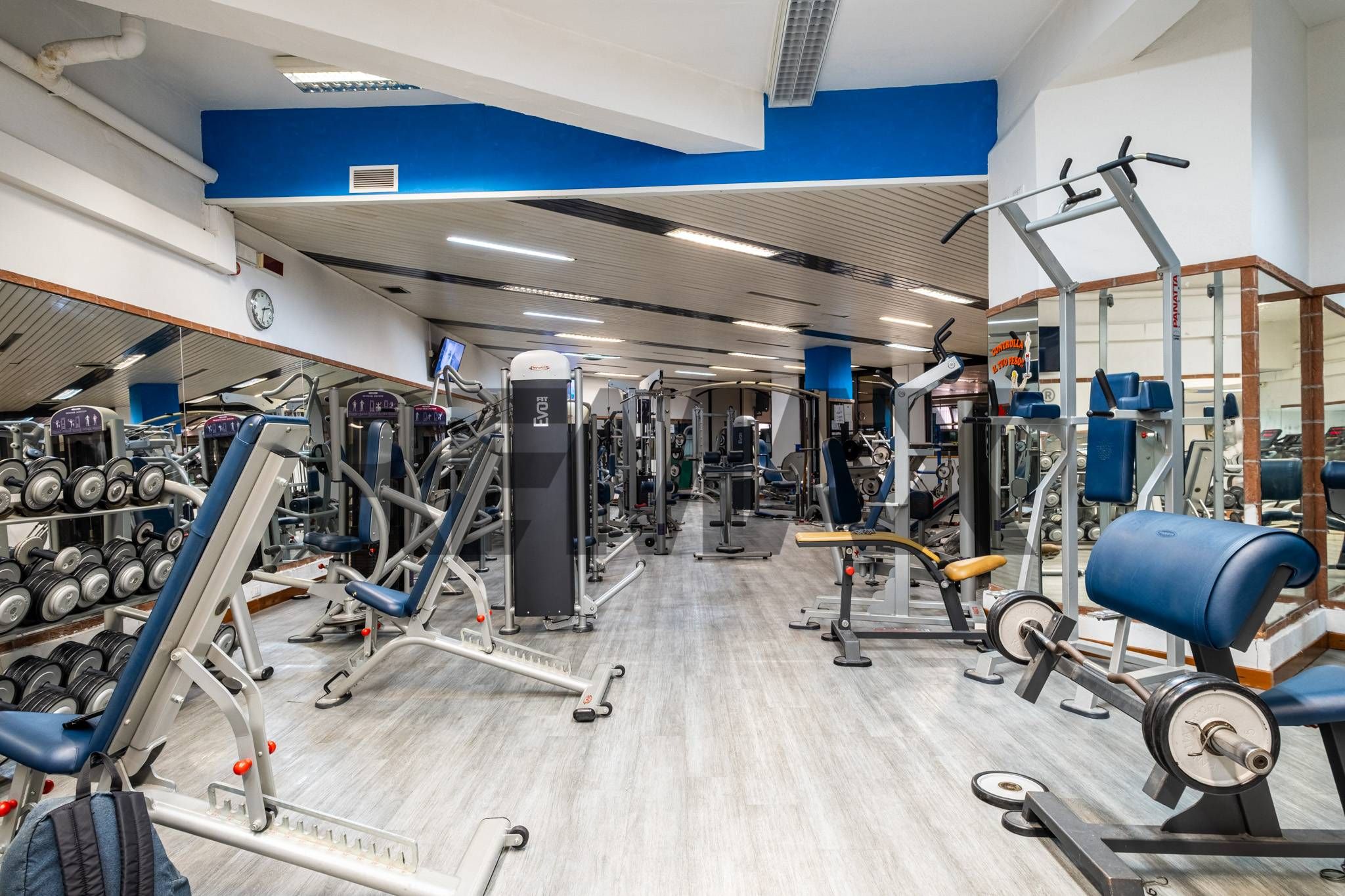 Palestra