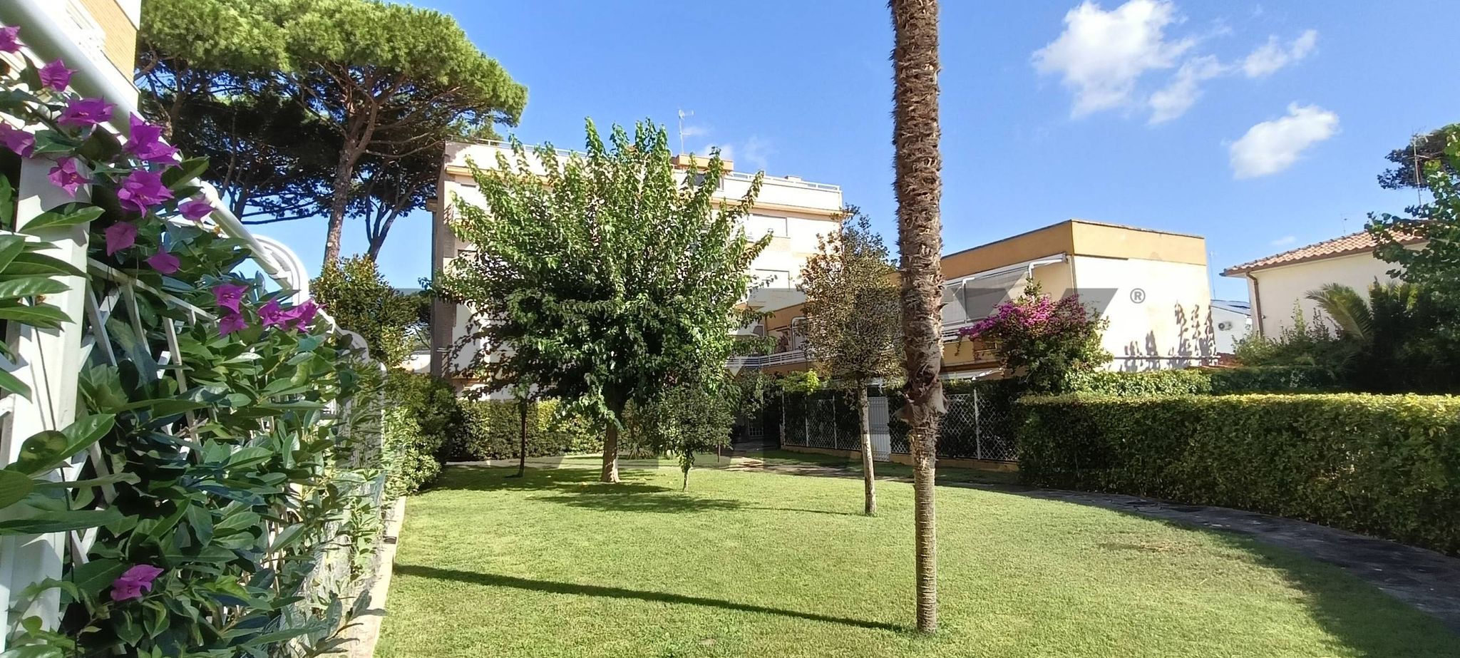 Giardino