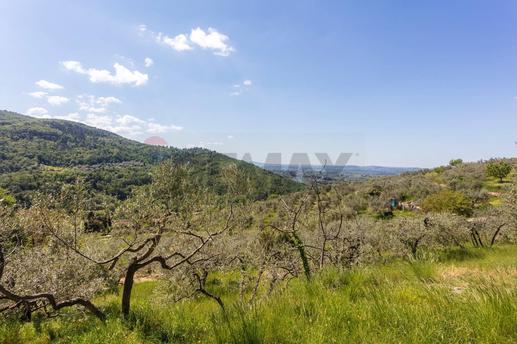 Vista delle montagne