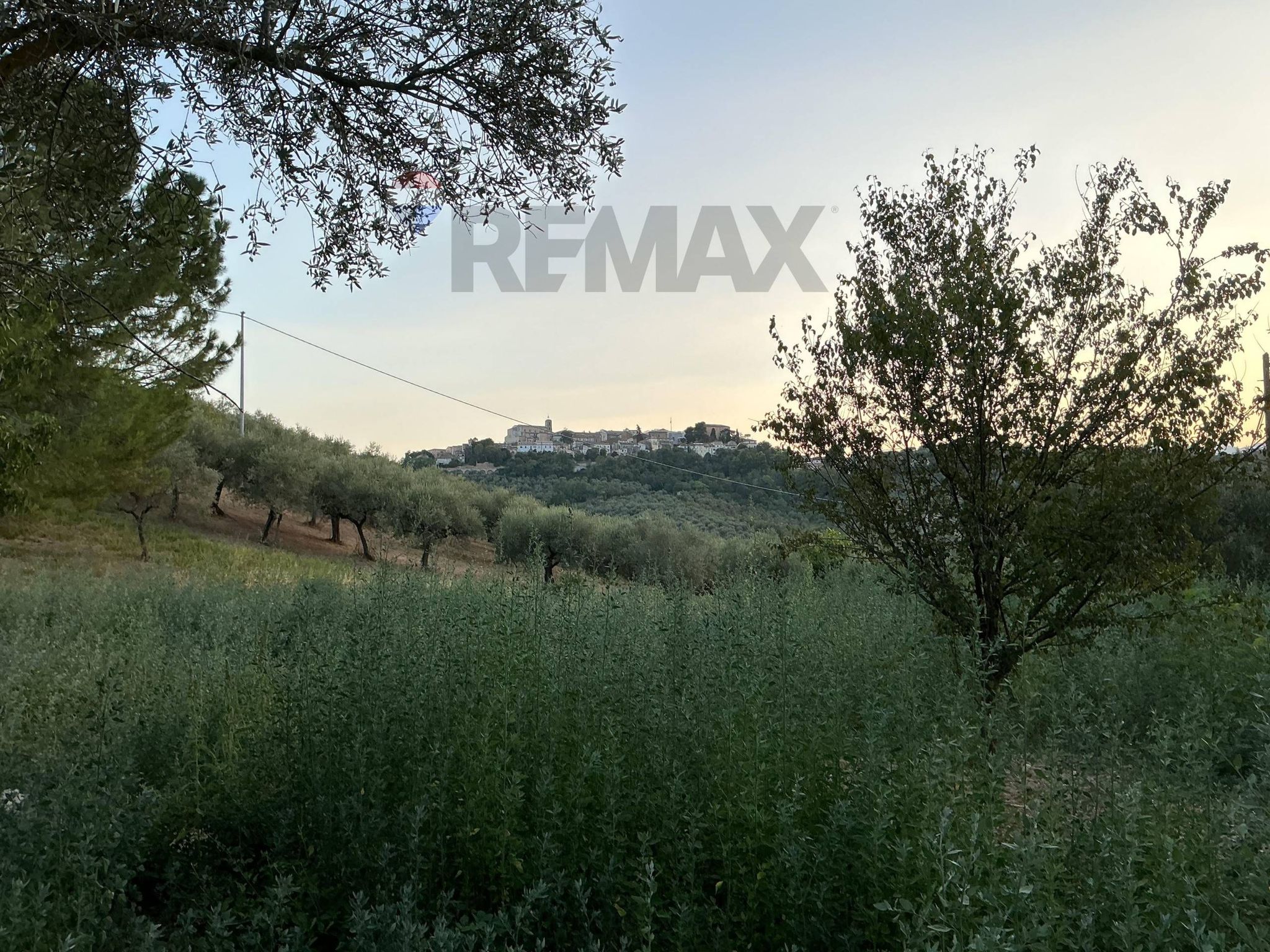 Vista delle montagne