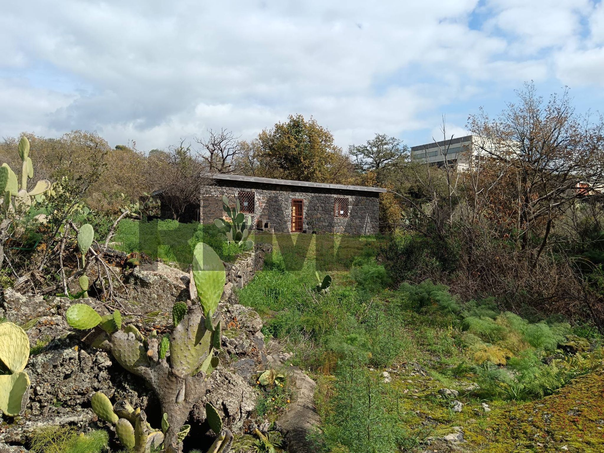 Giardino
