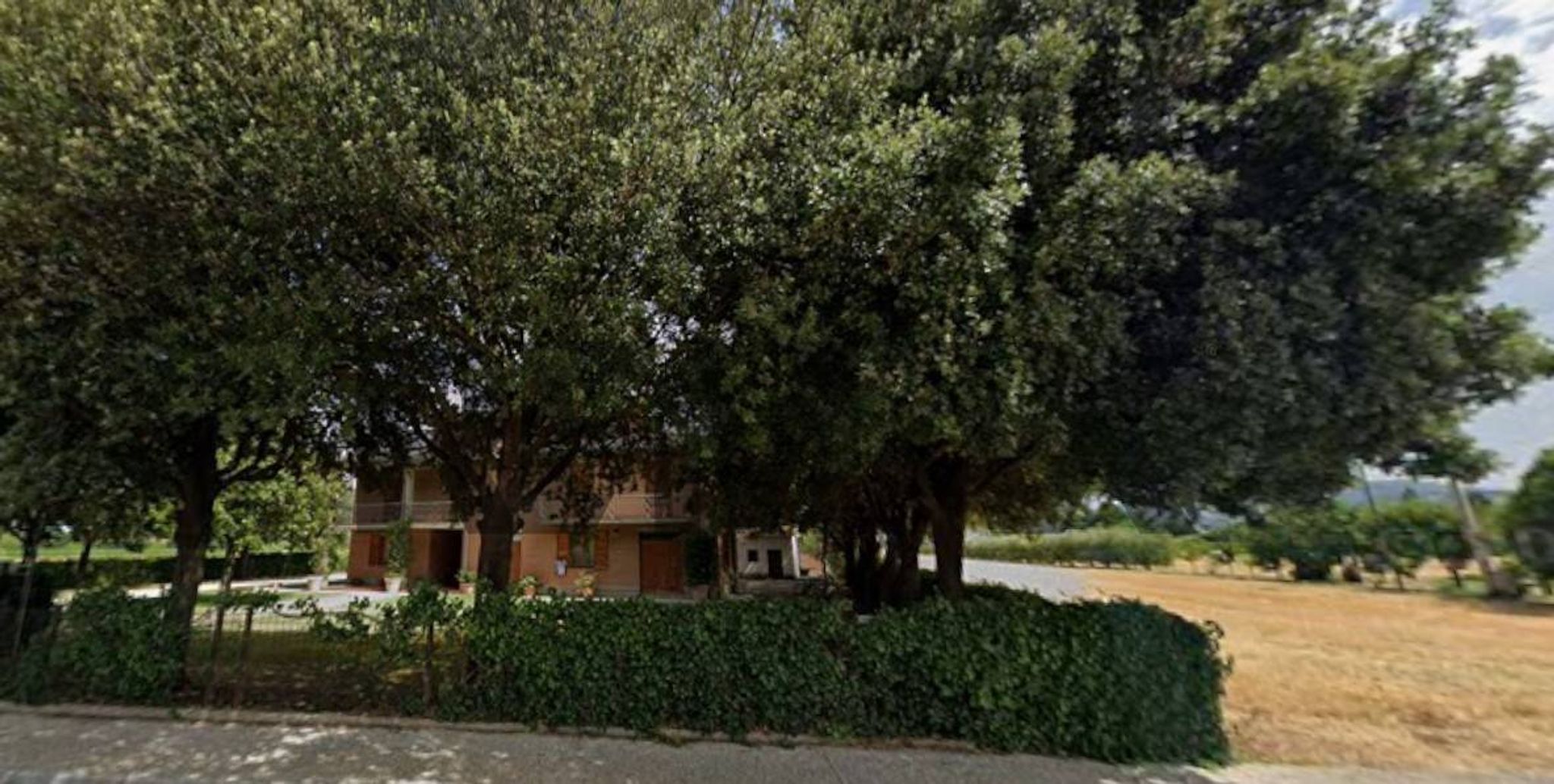 Giardino