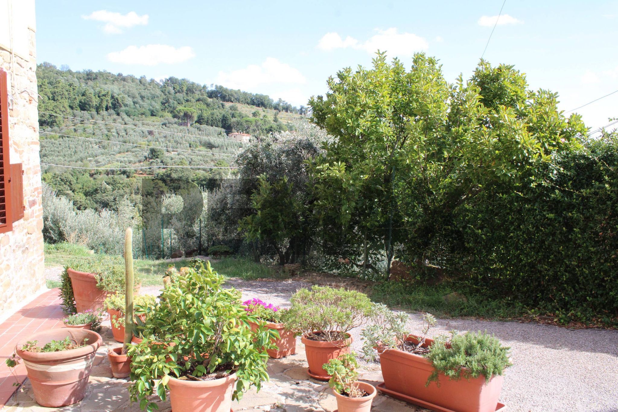 Giardino