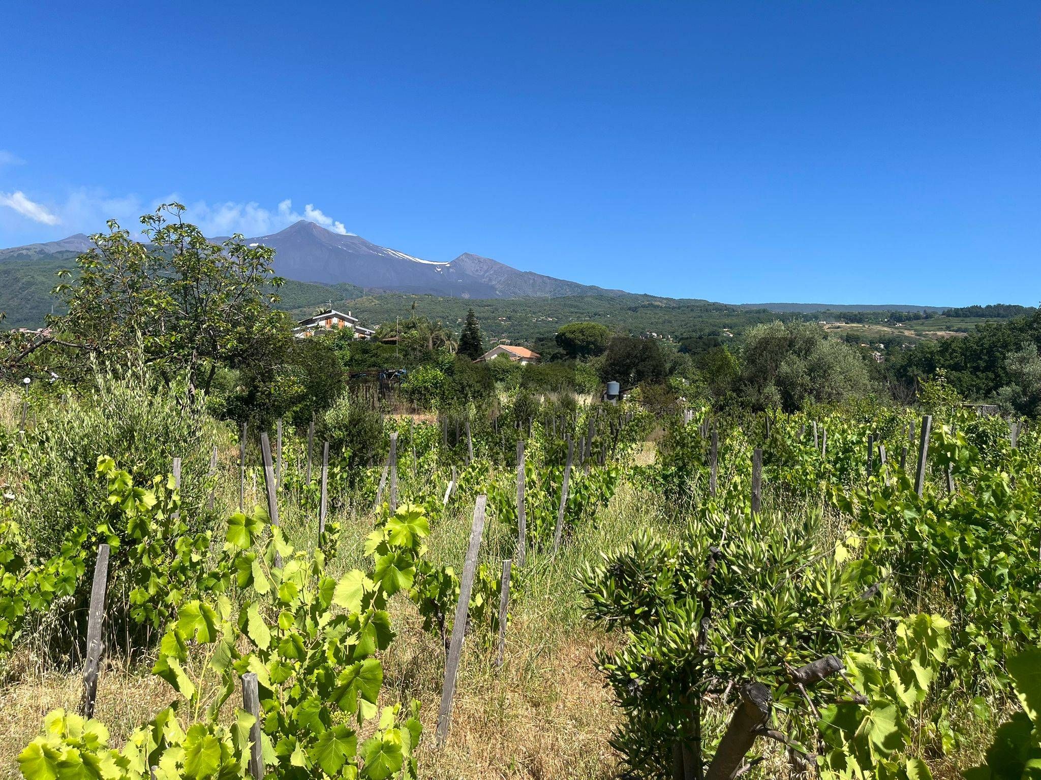 Immobile a Santa Venerina